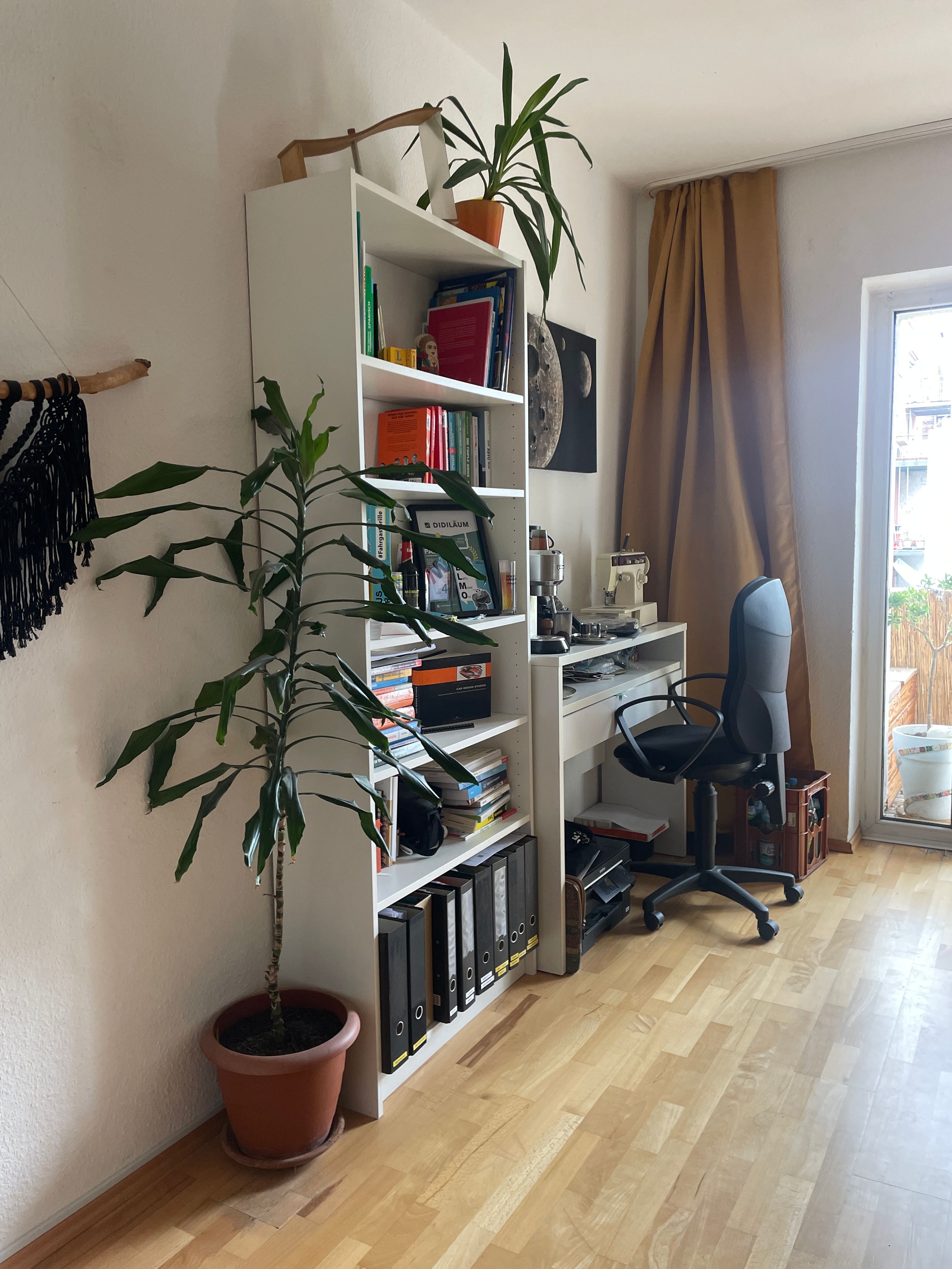 image-5