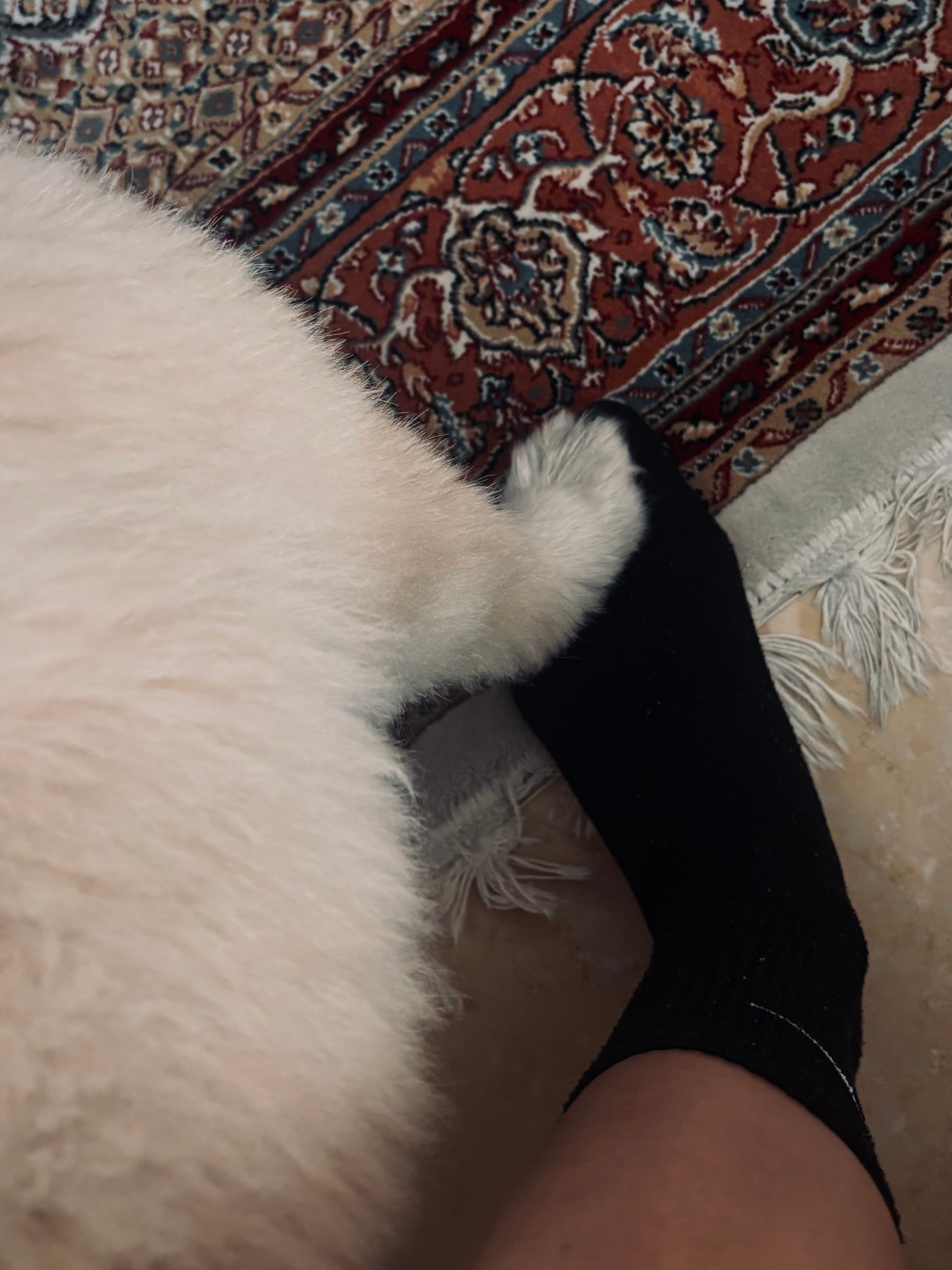 image-14