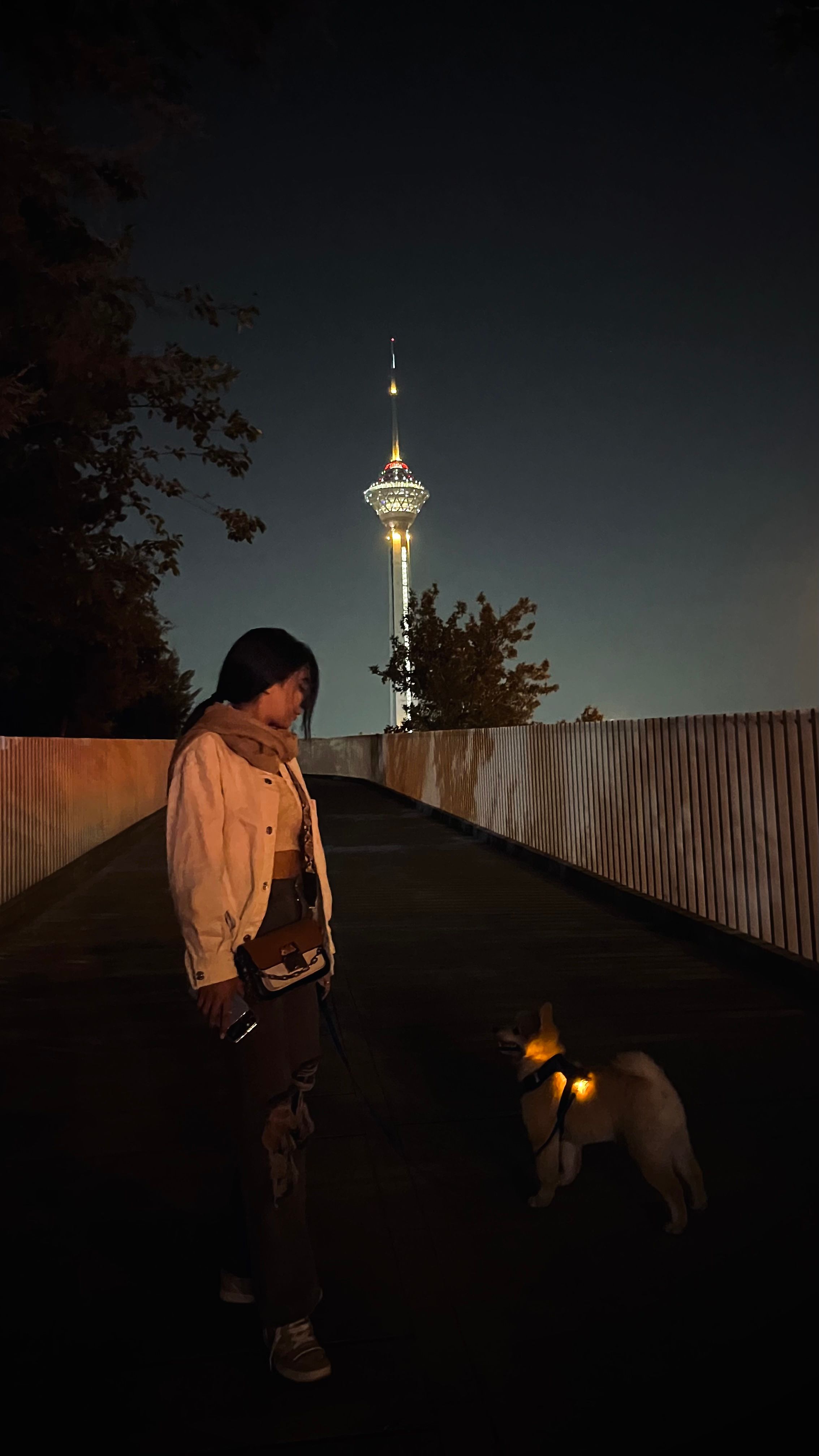 image-6