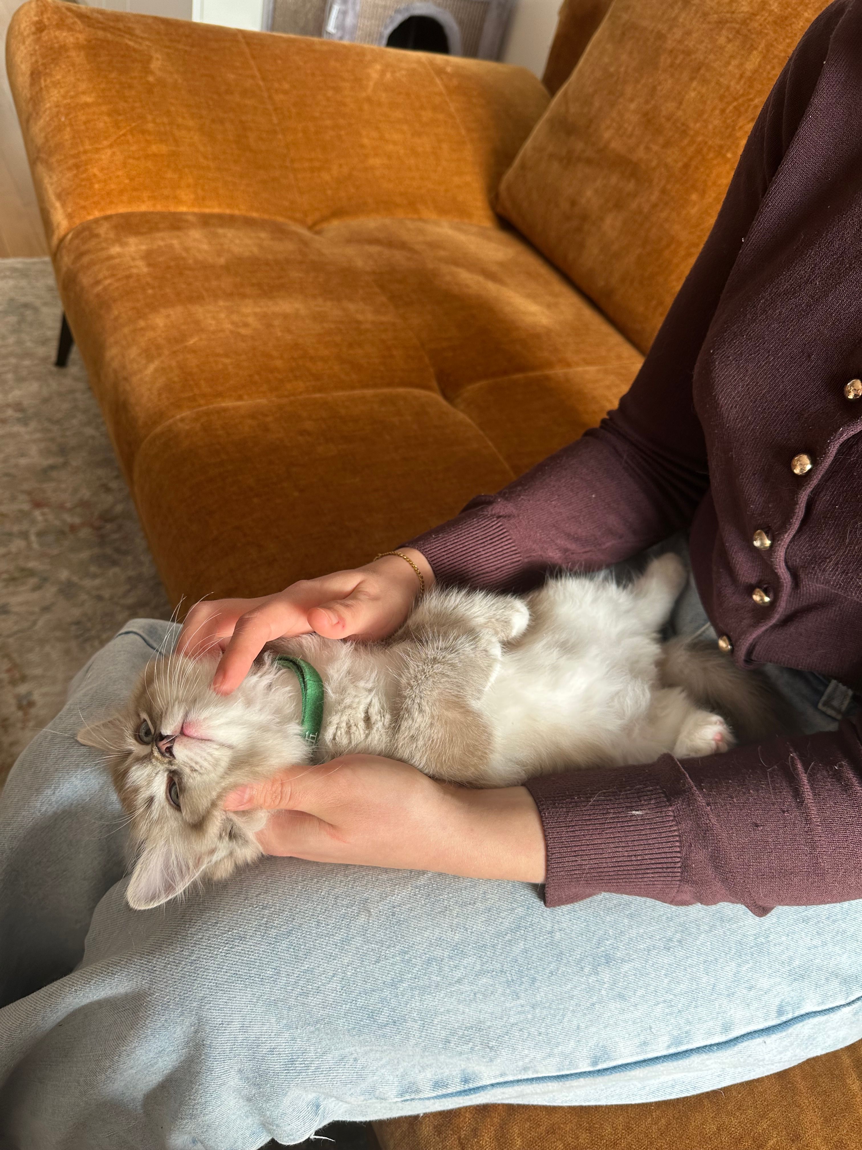 image-10