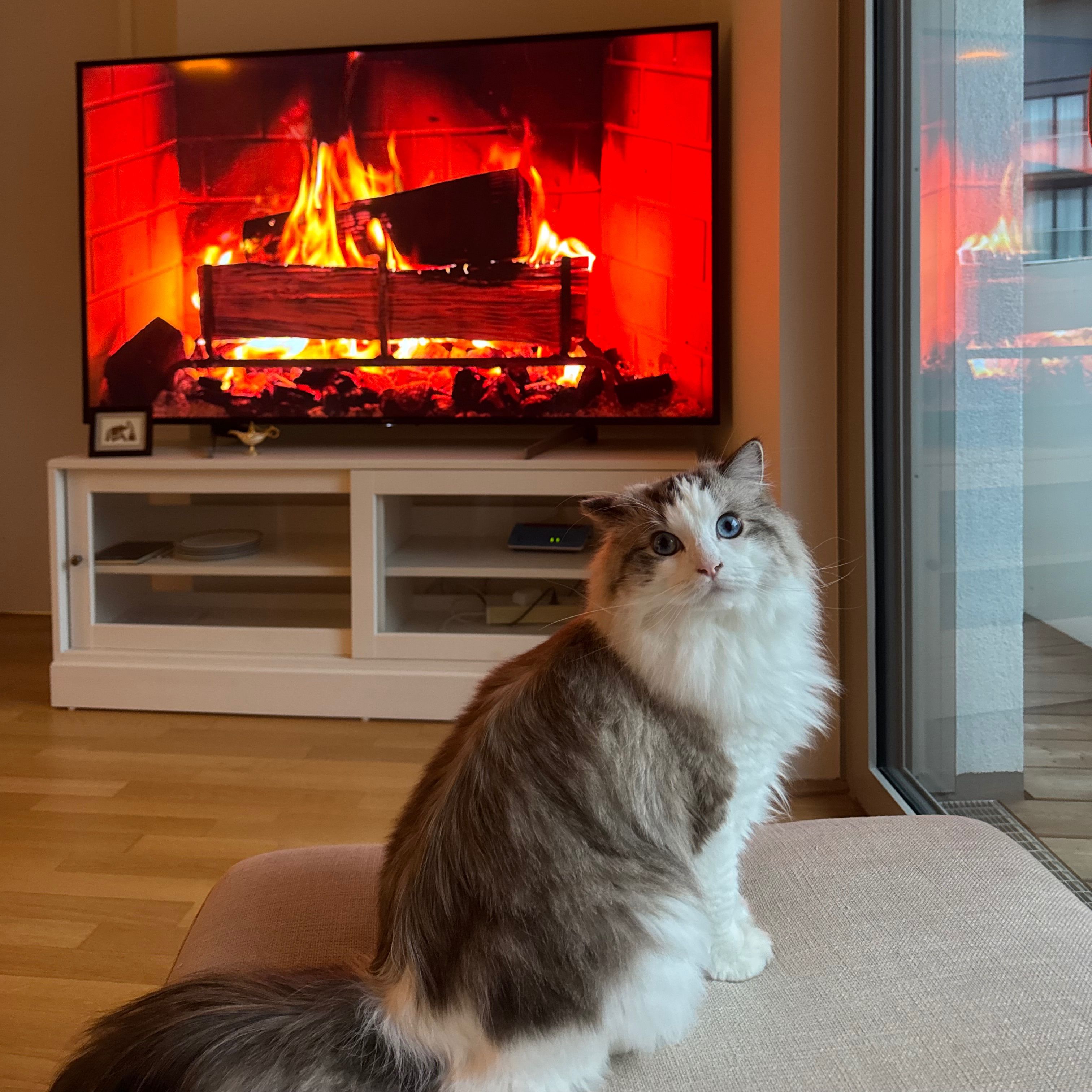Nimbus