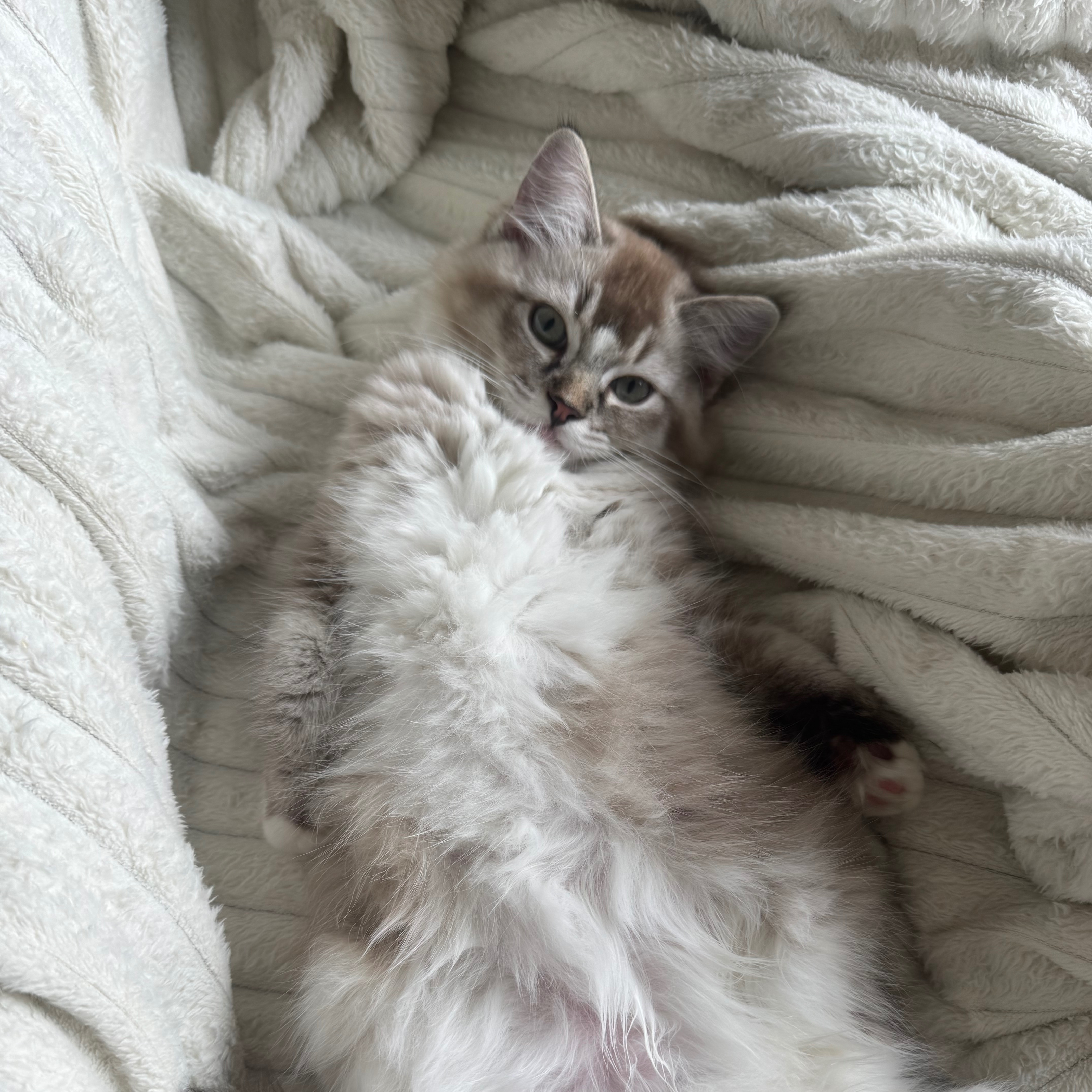 Winnie