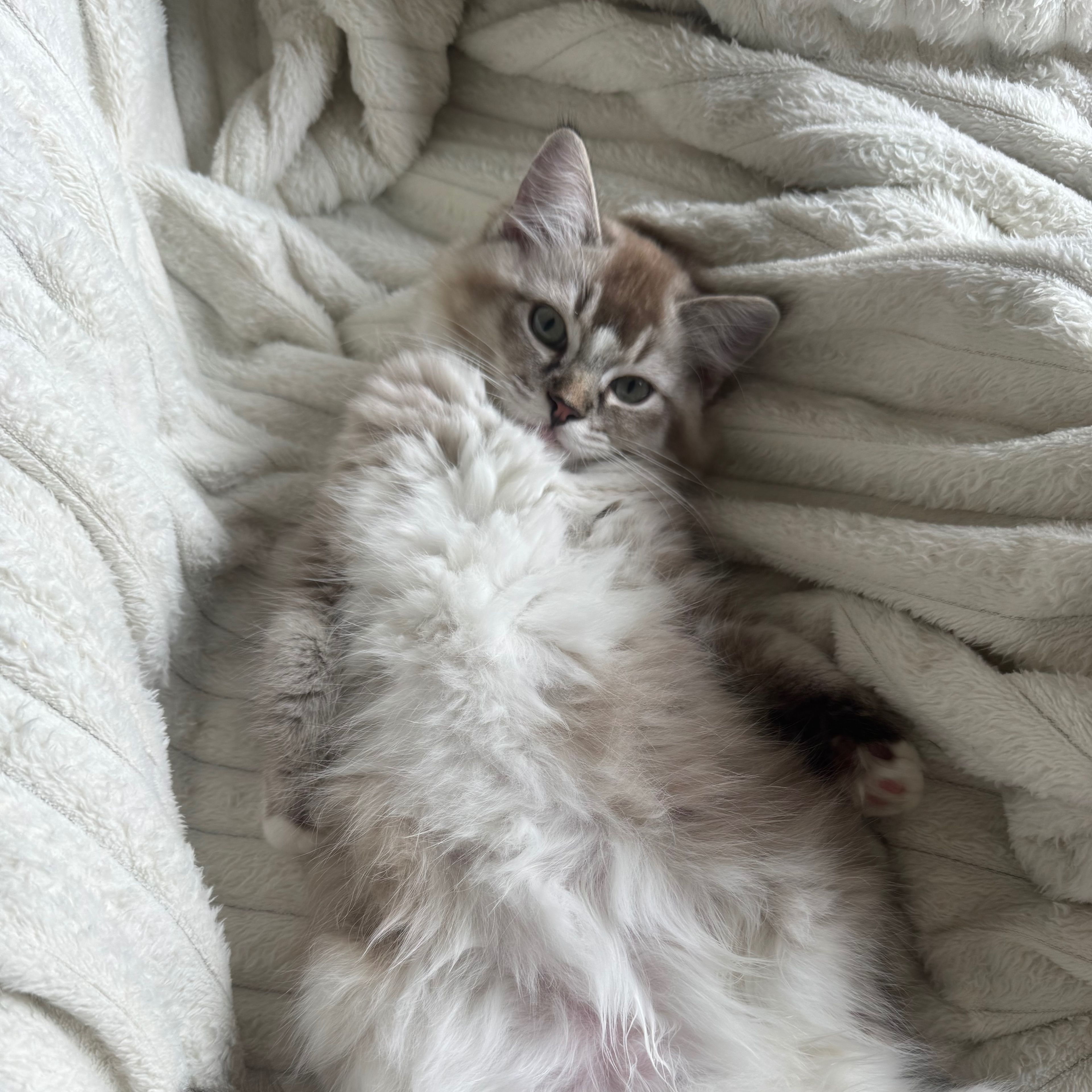 Winnie