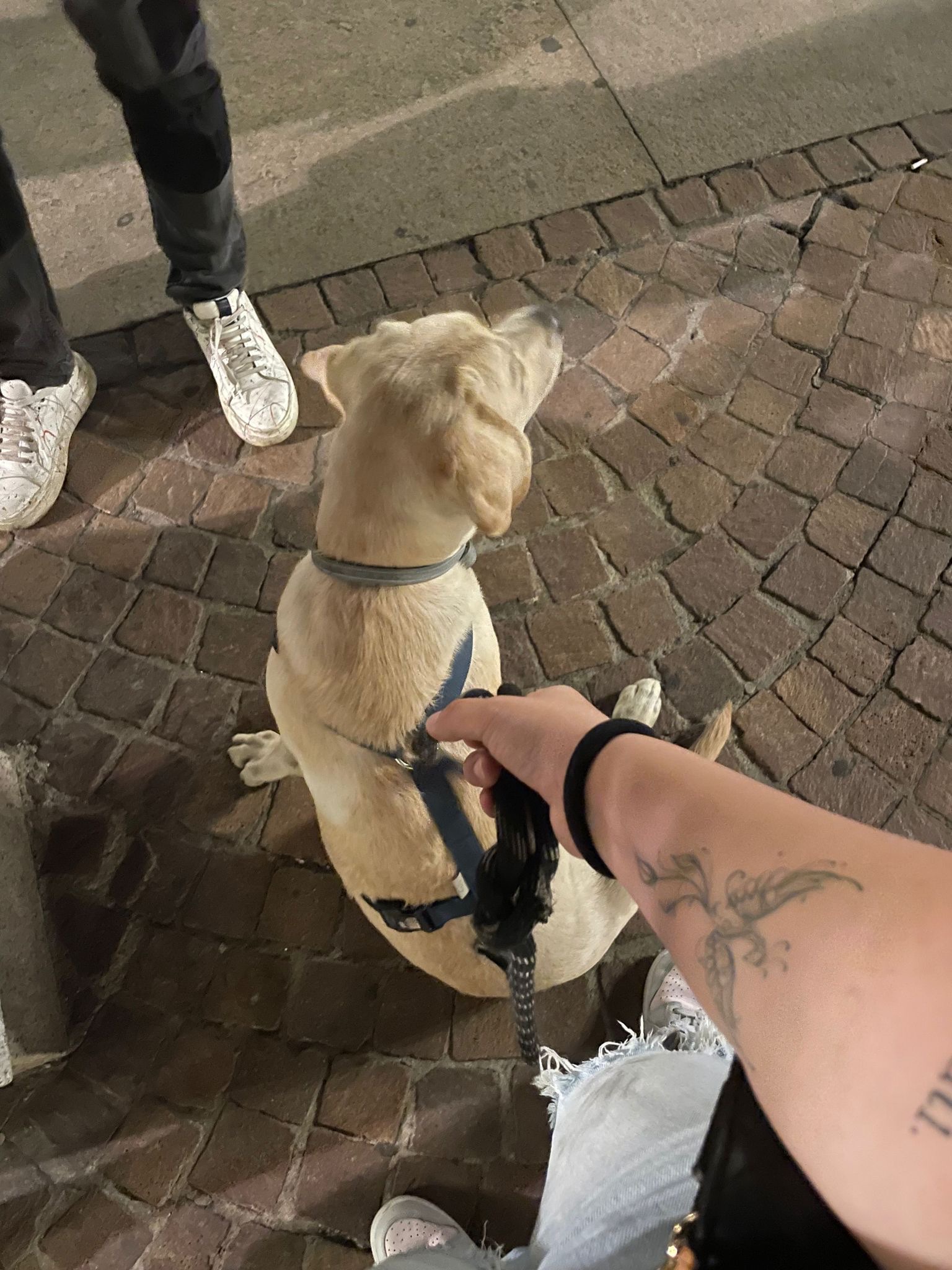 image-7