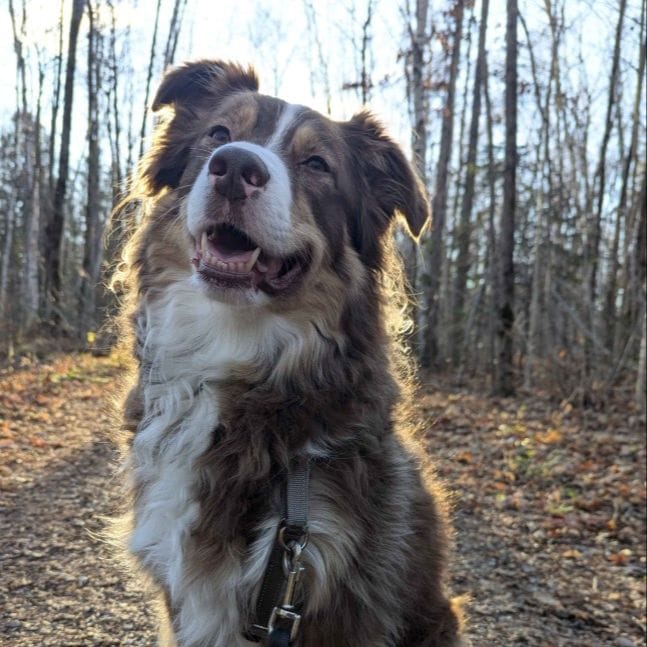 Loki