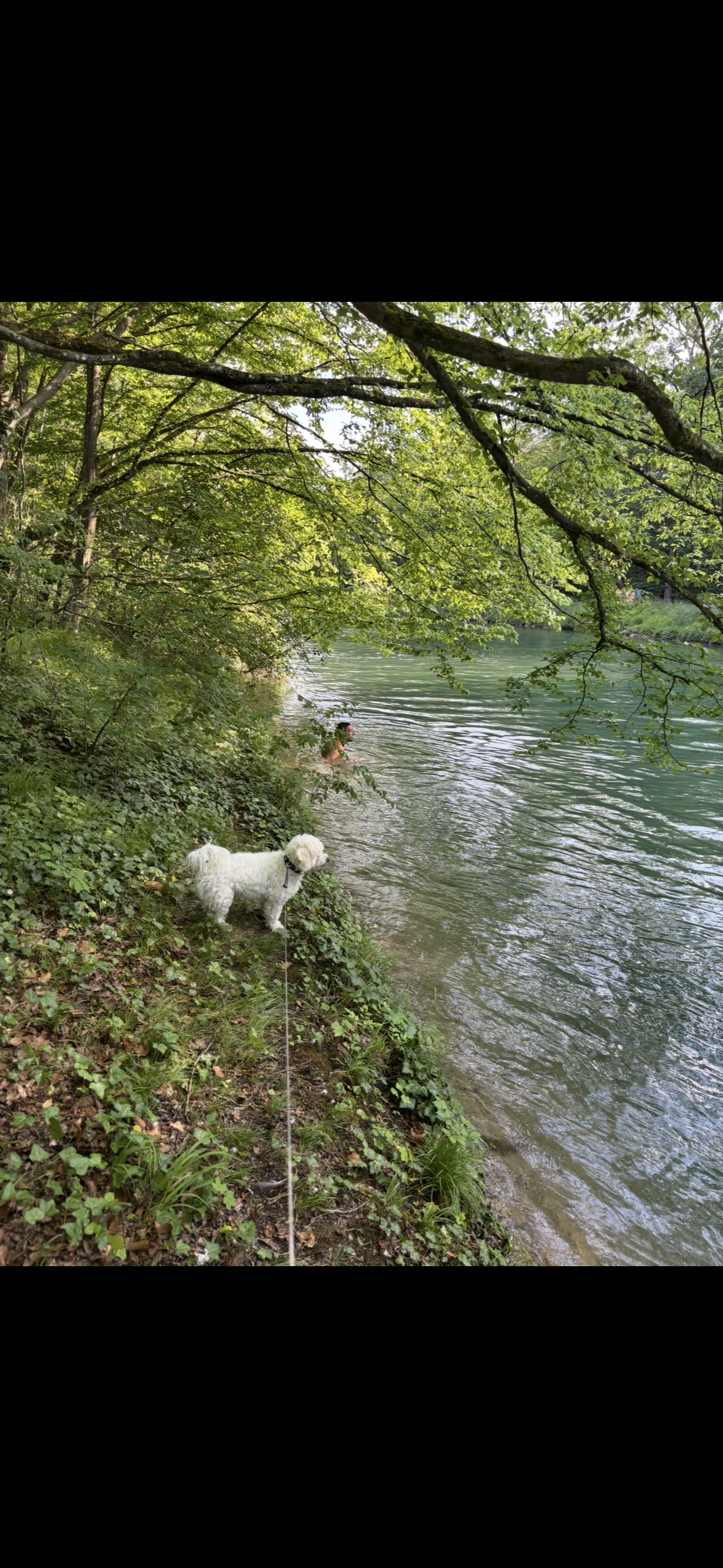 image-19