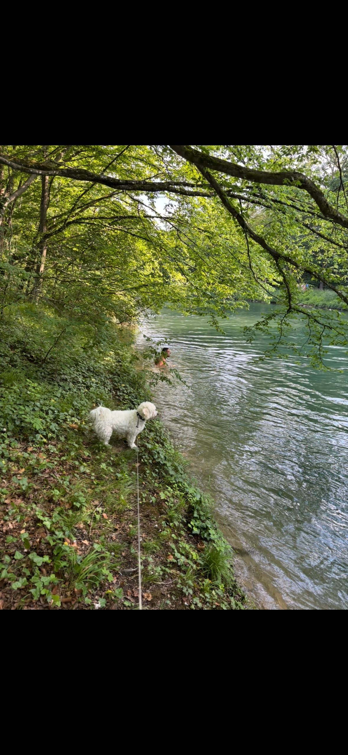image-19