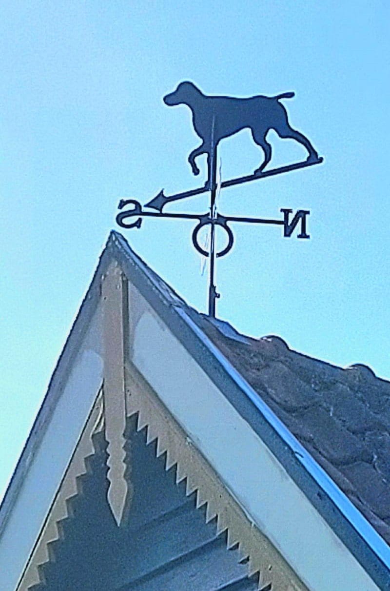 image-27