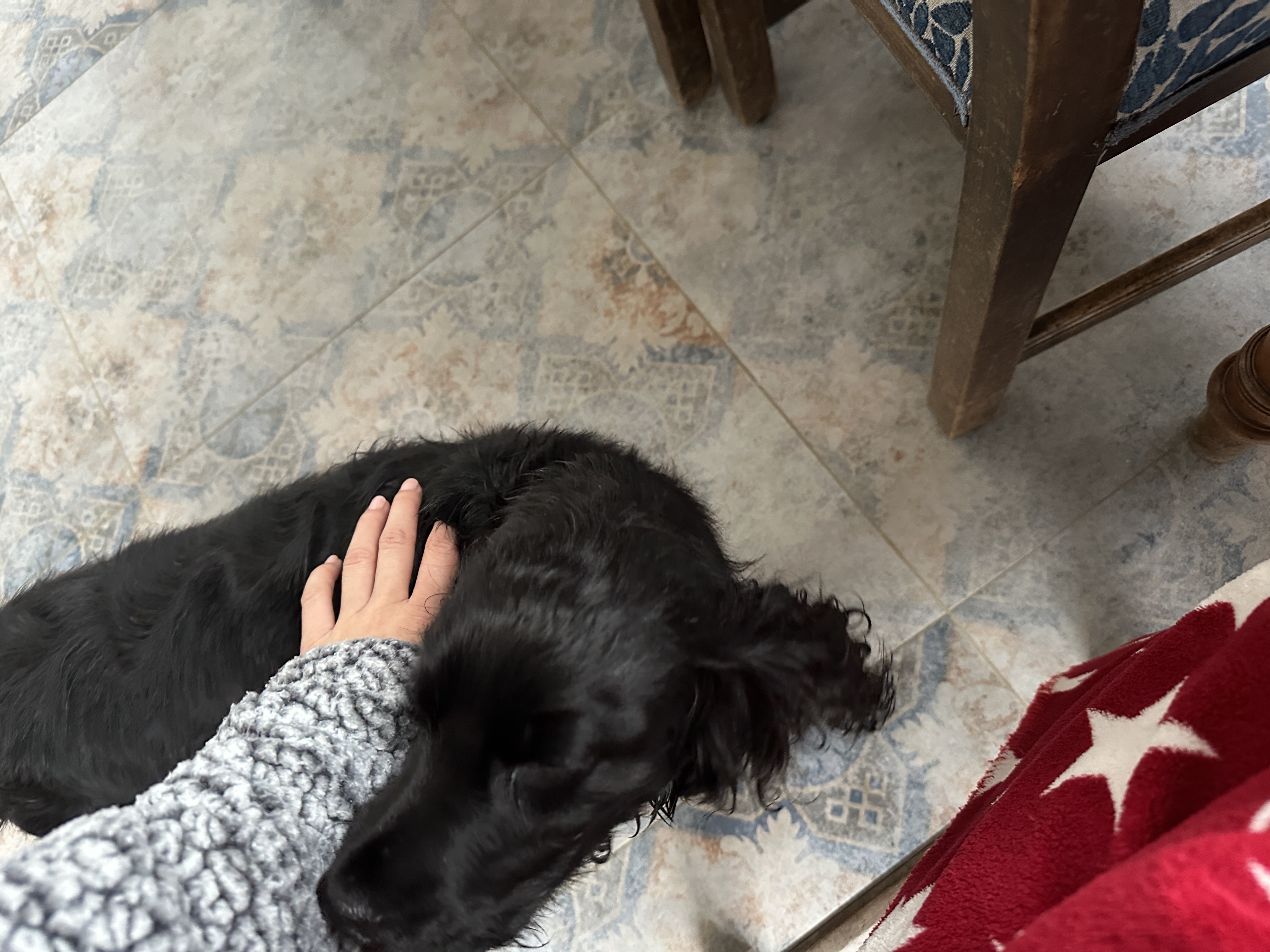 image-7