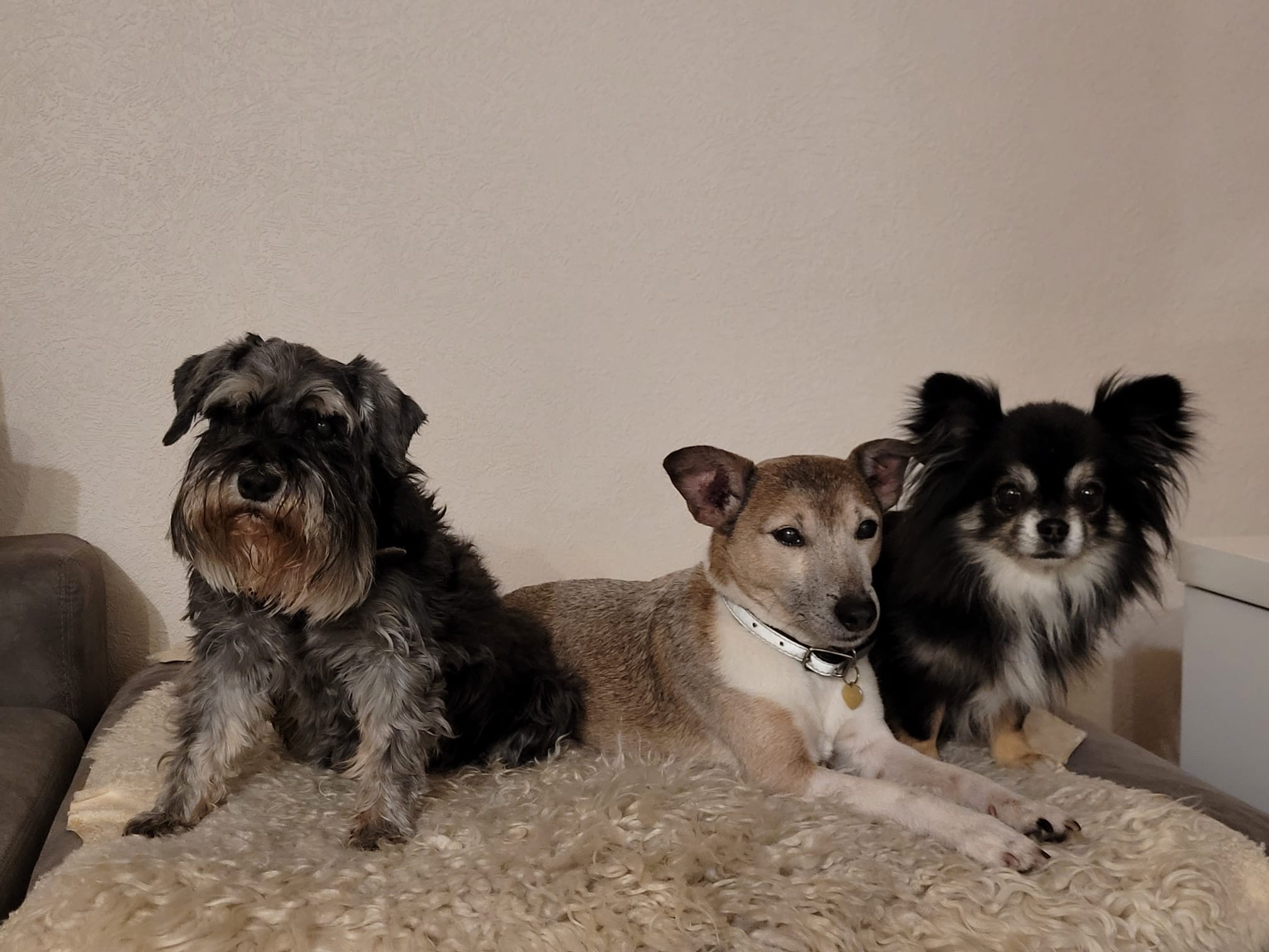 image-10