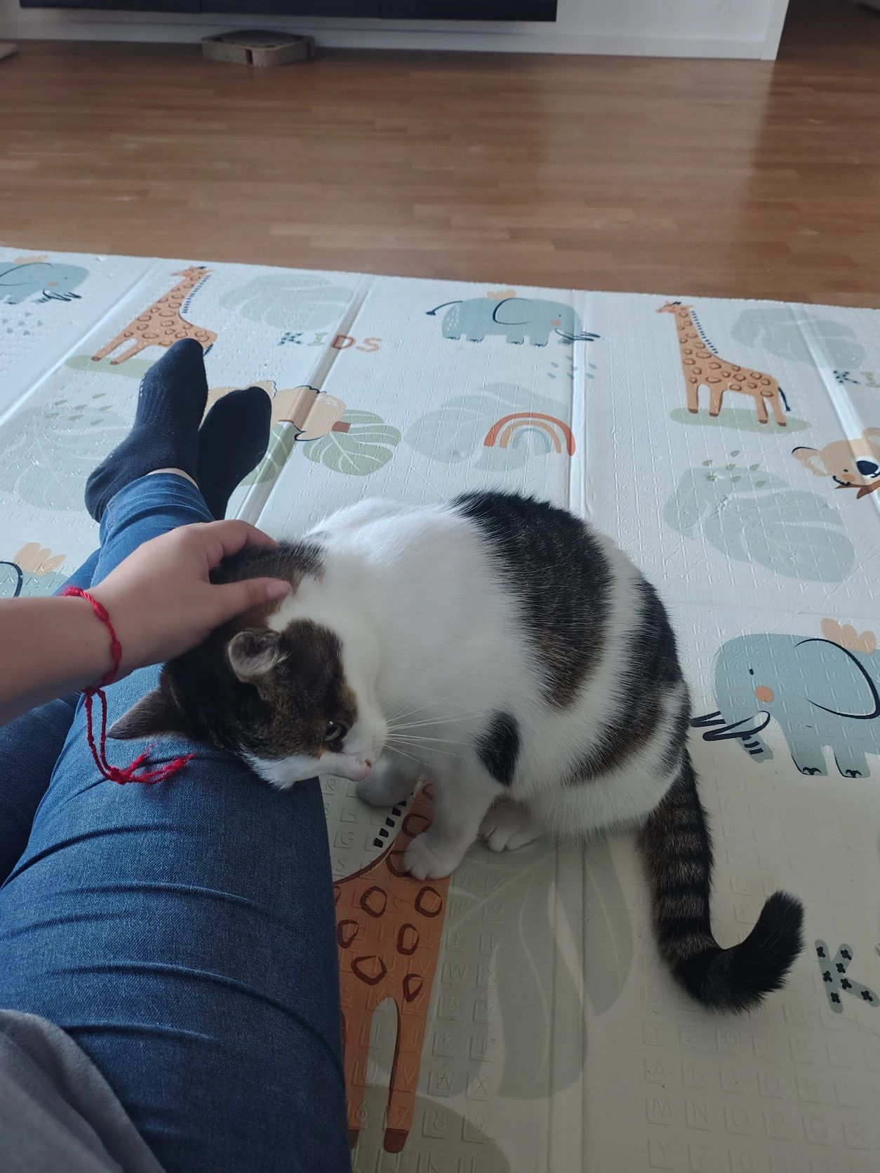 image-9