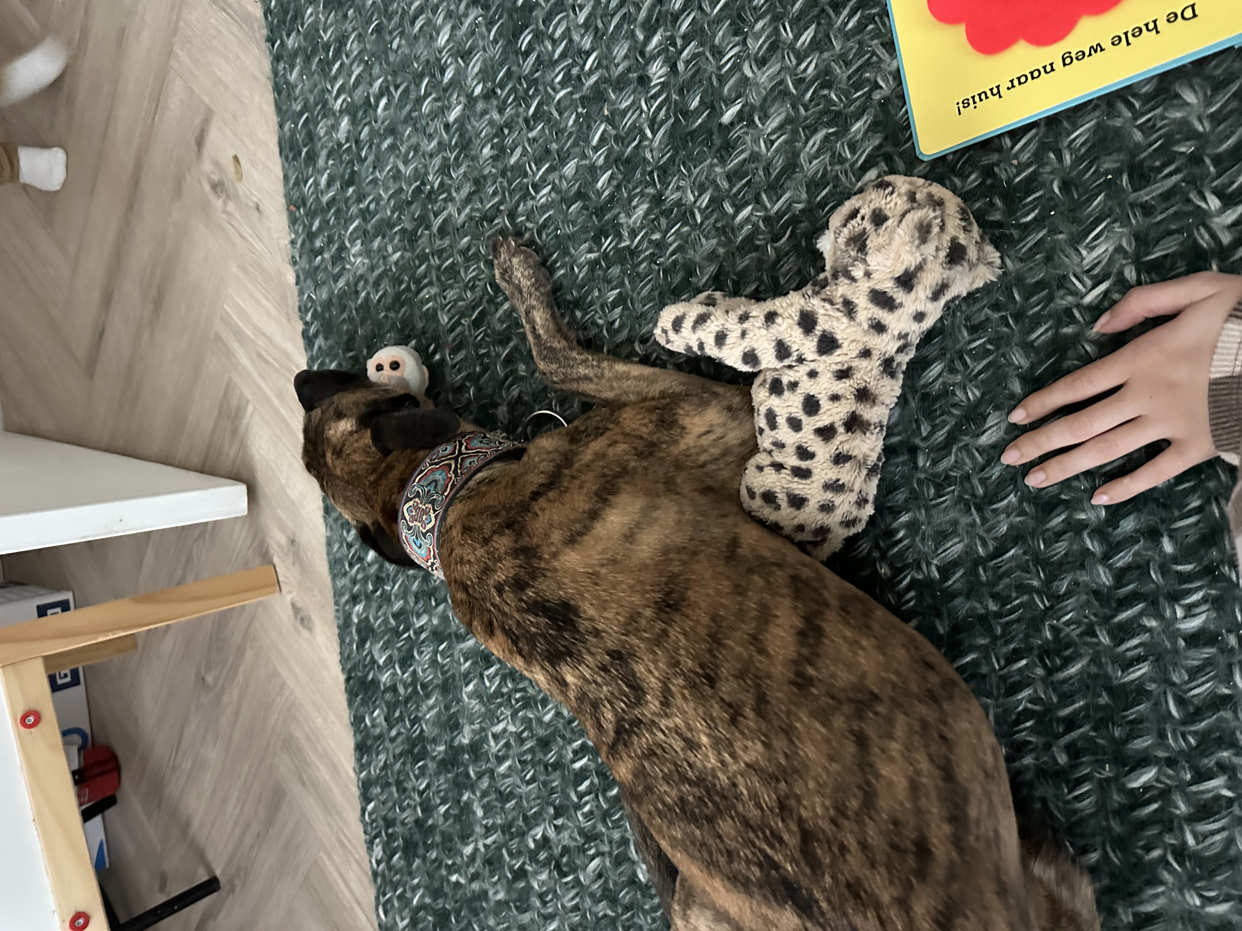 image-6
