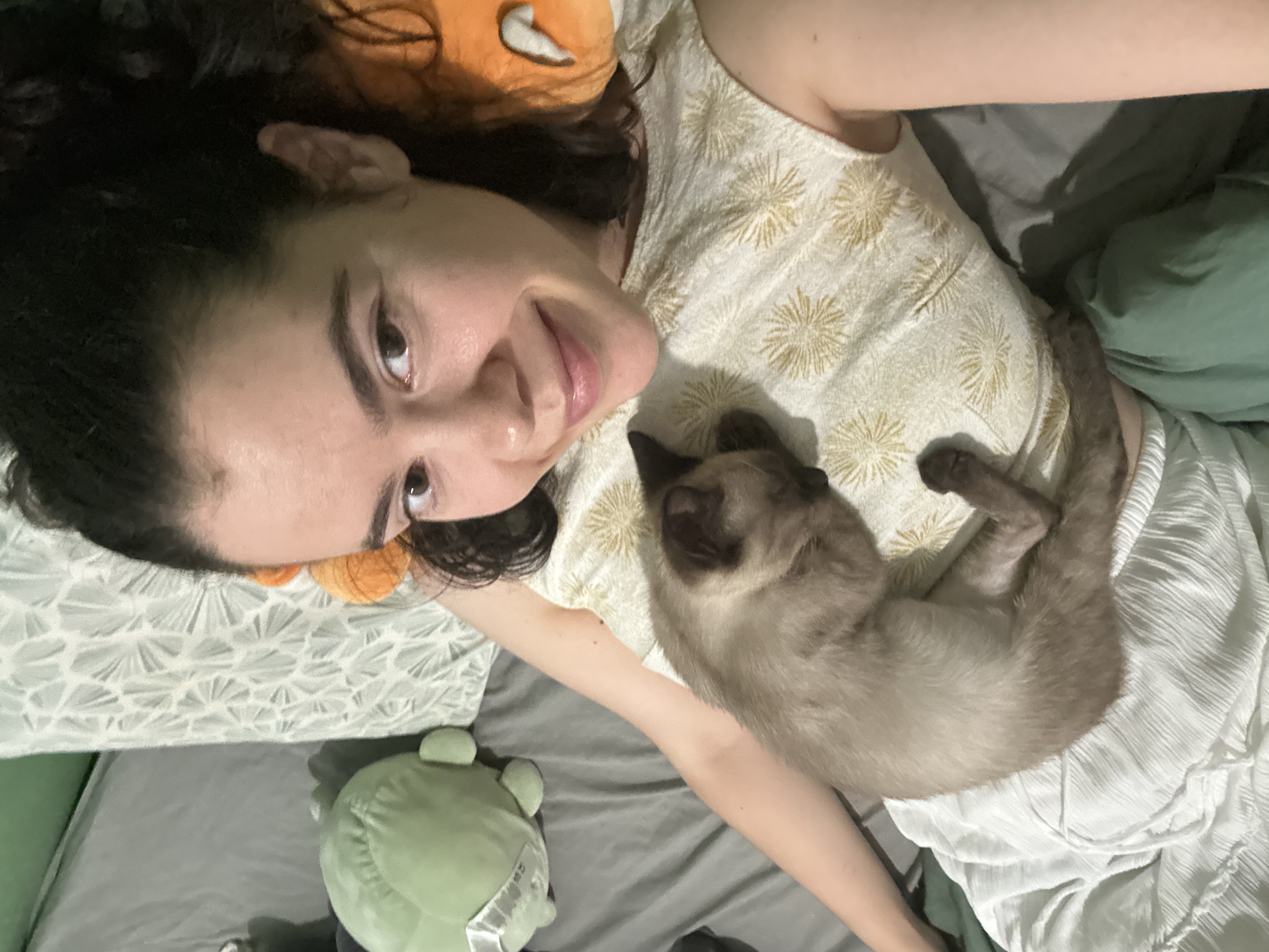 image-15