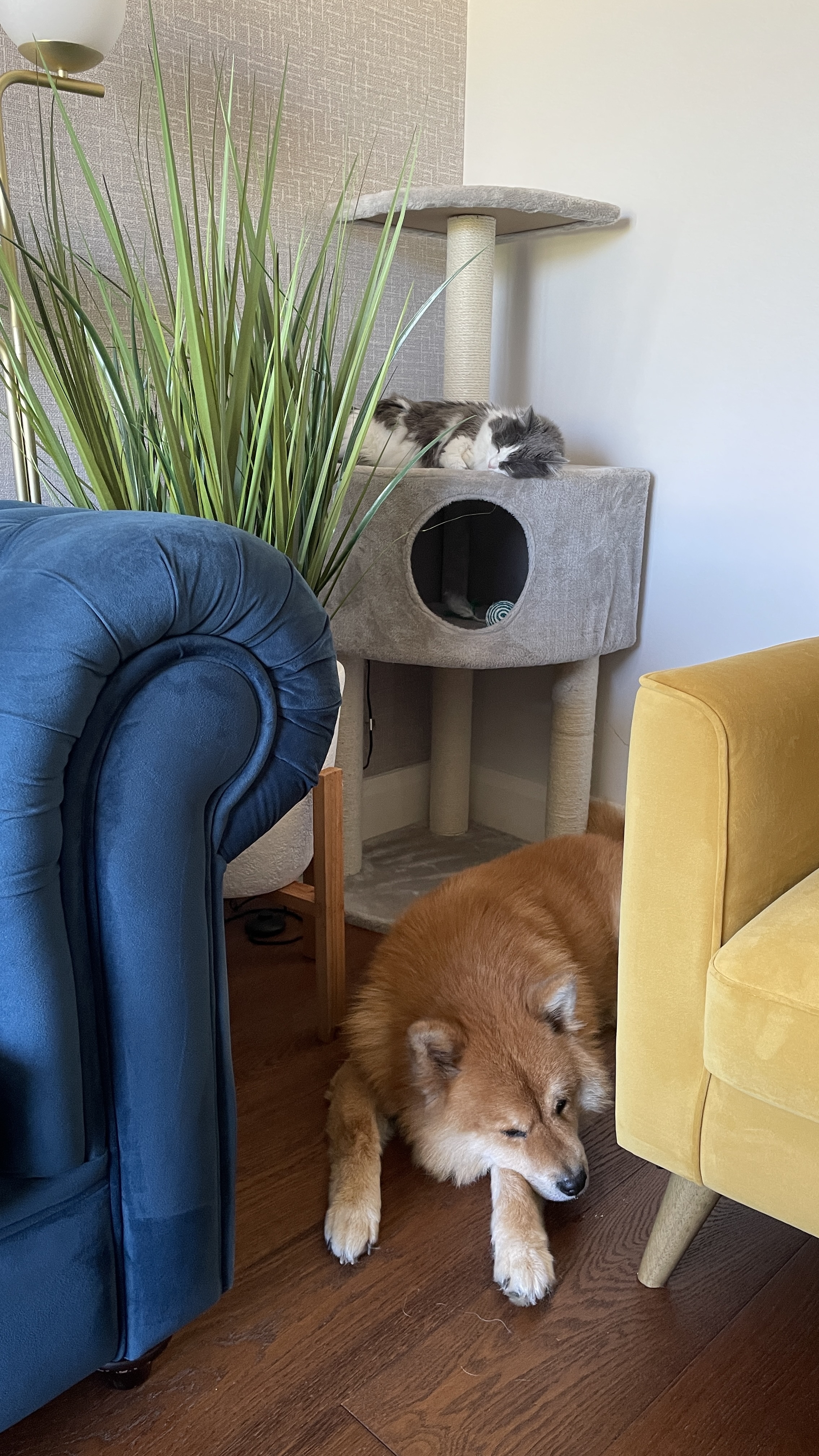 image-7