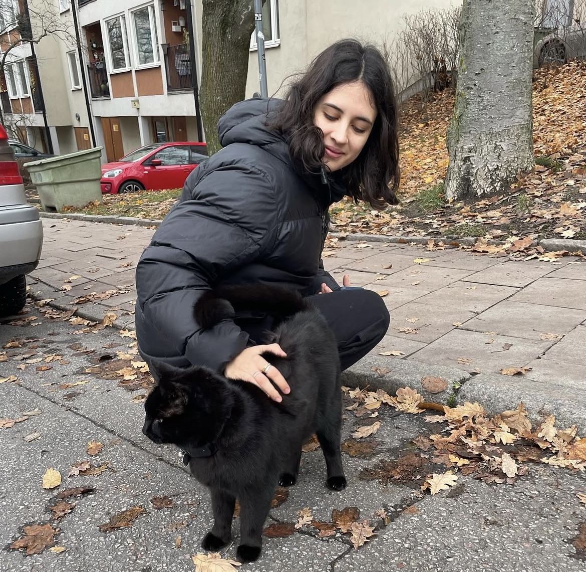 image-12