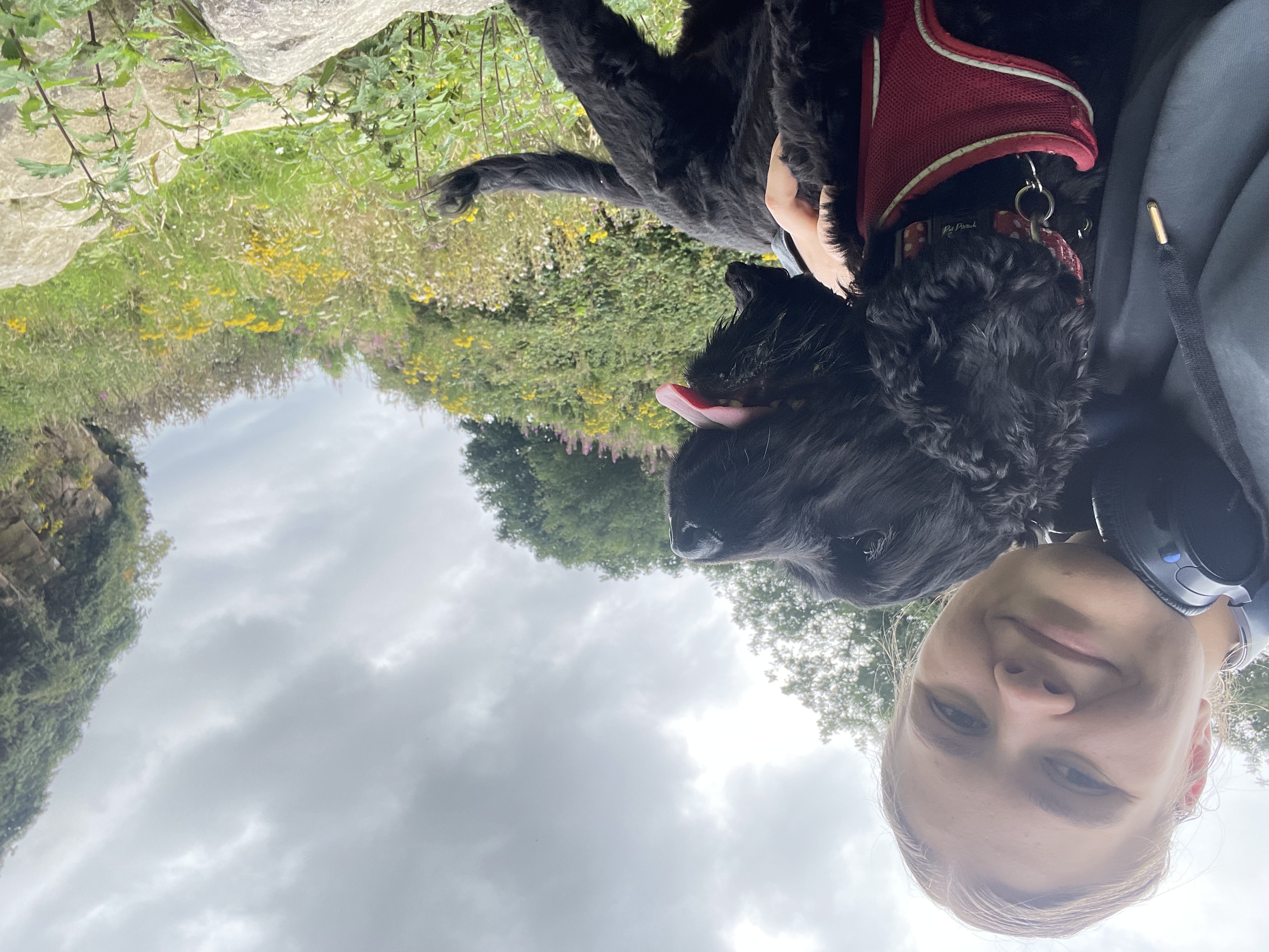image-4