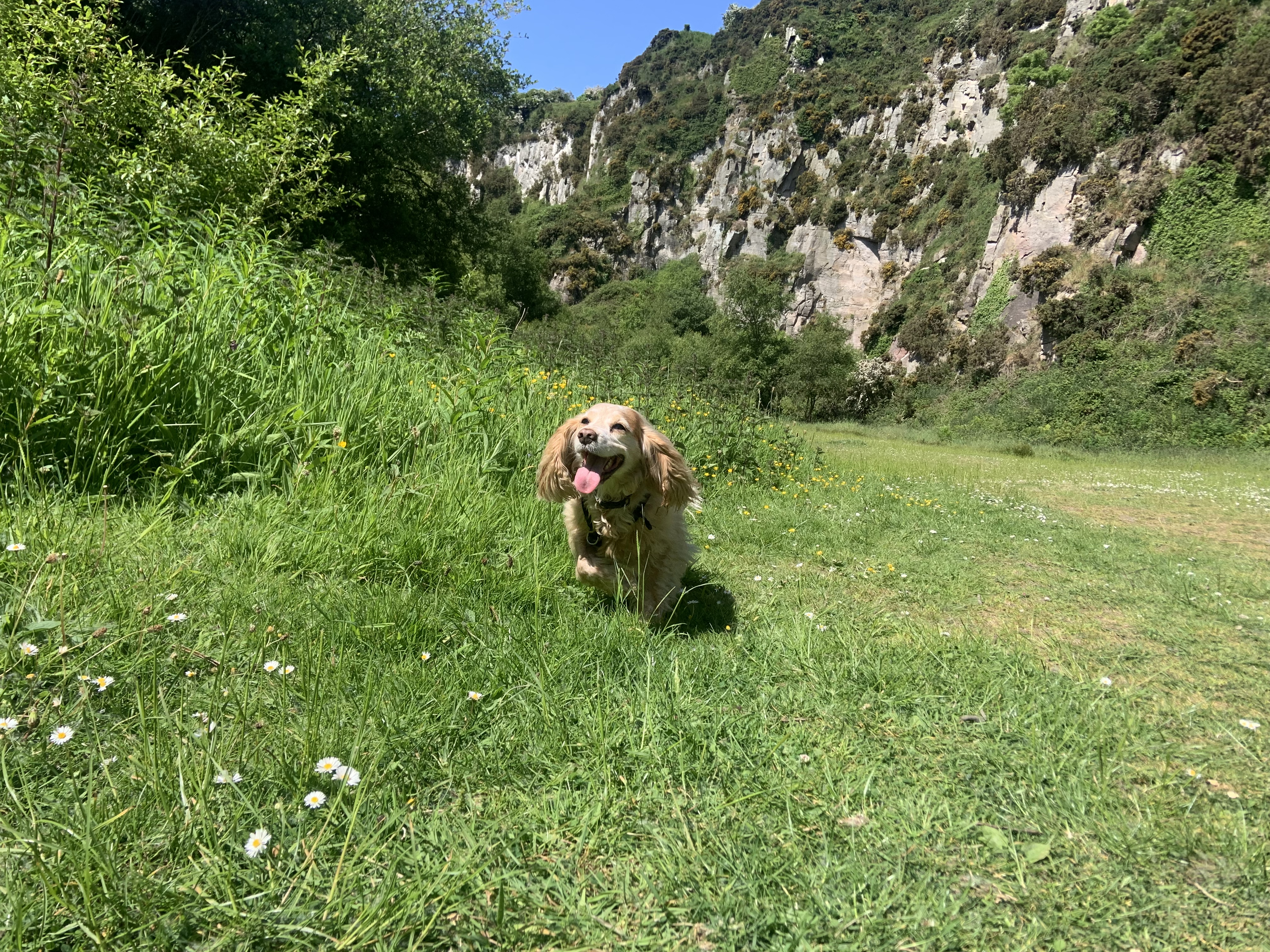 image-9