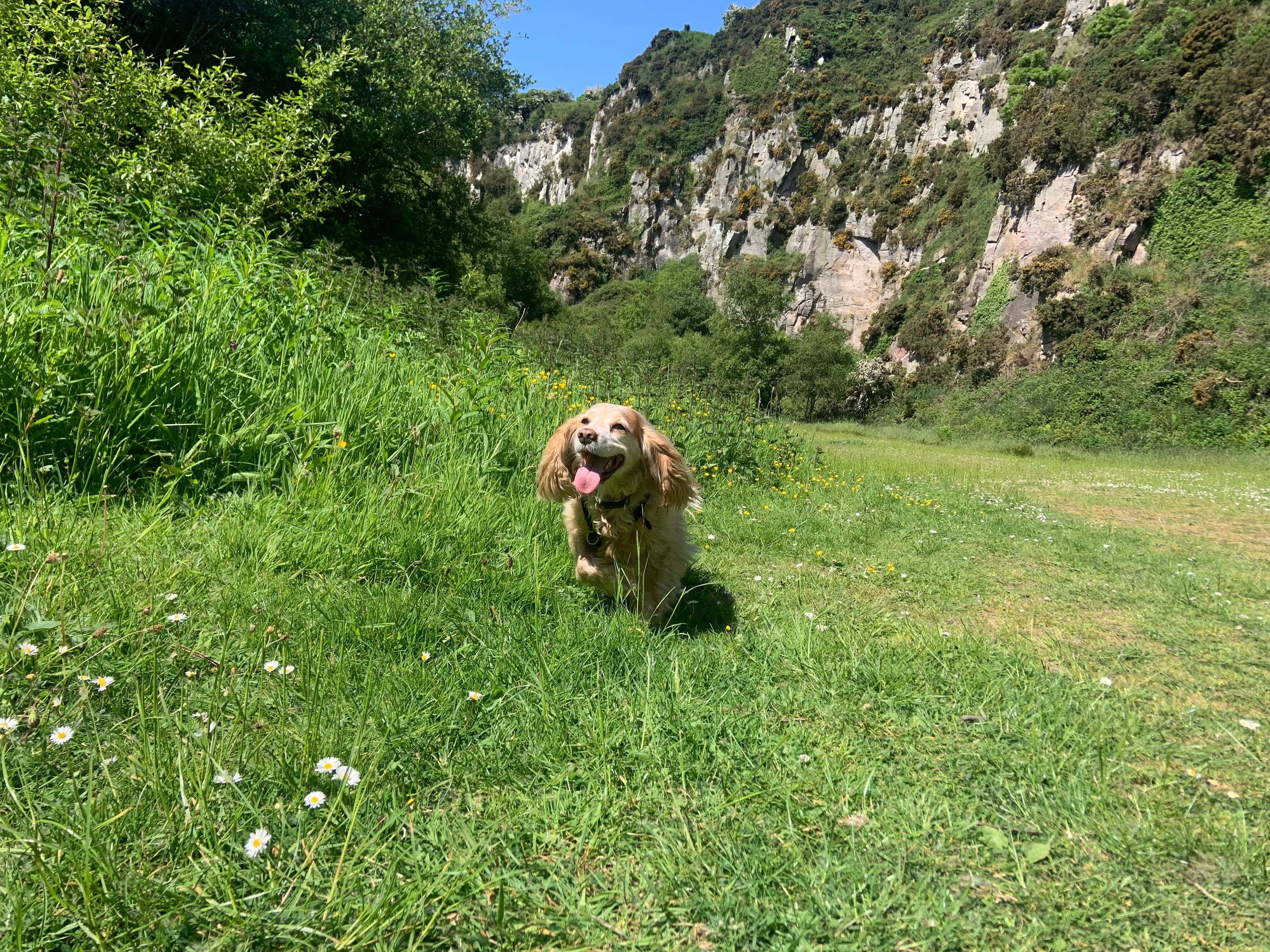 image-9