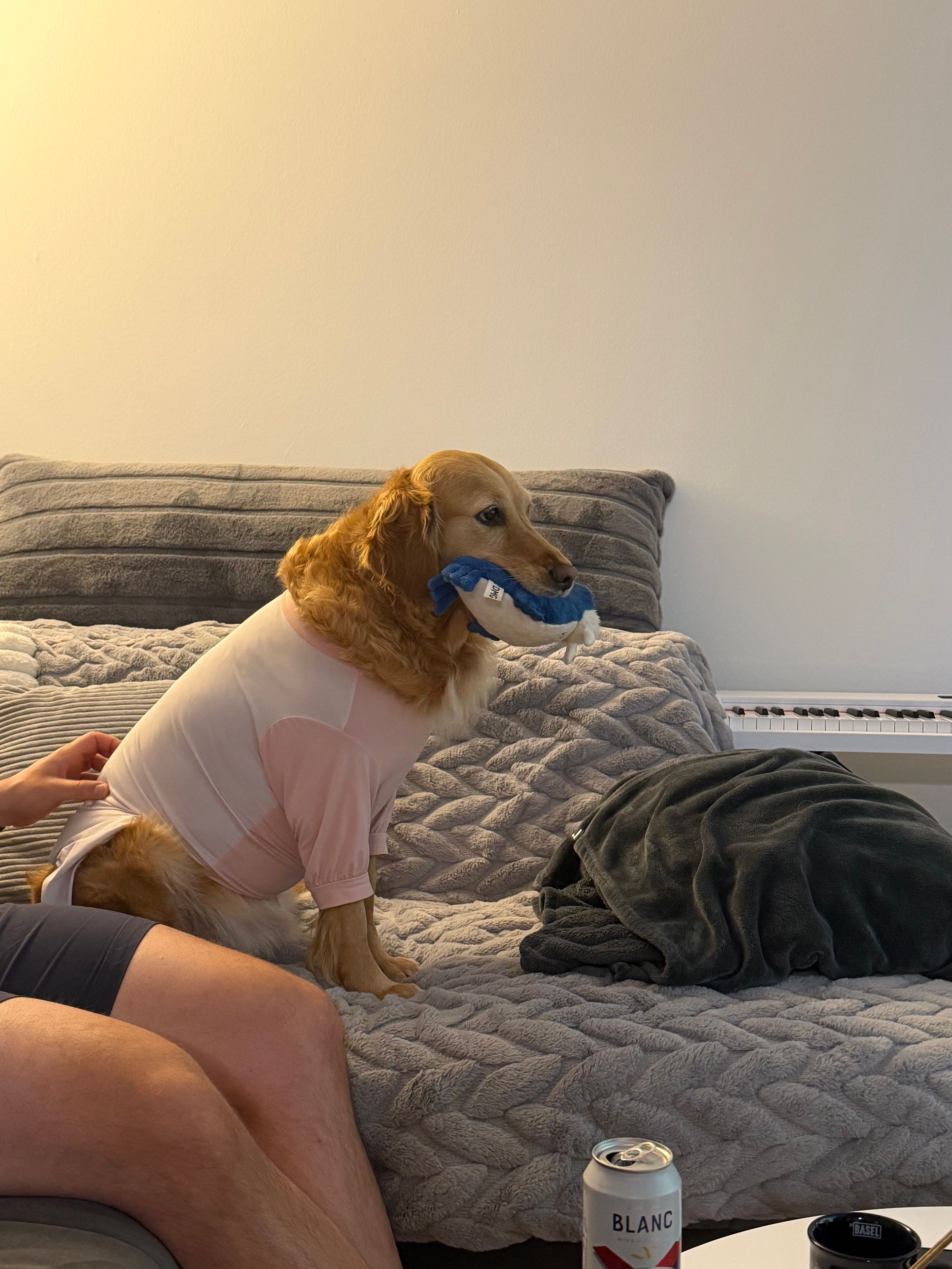 image-18