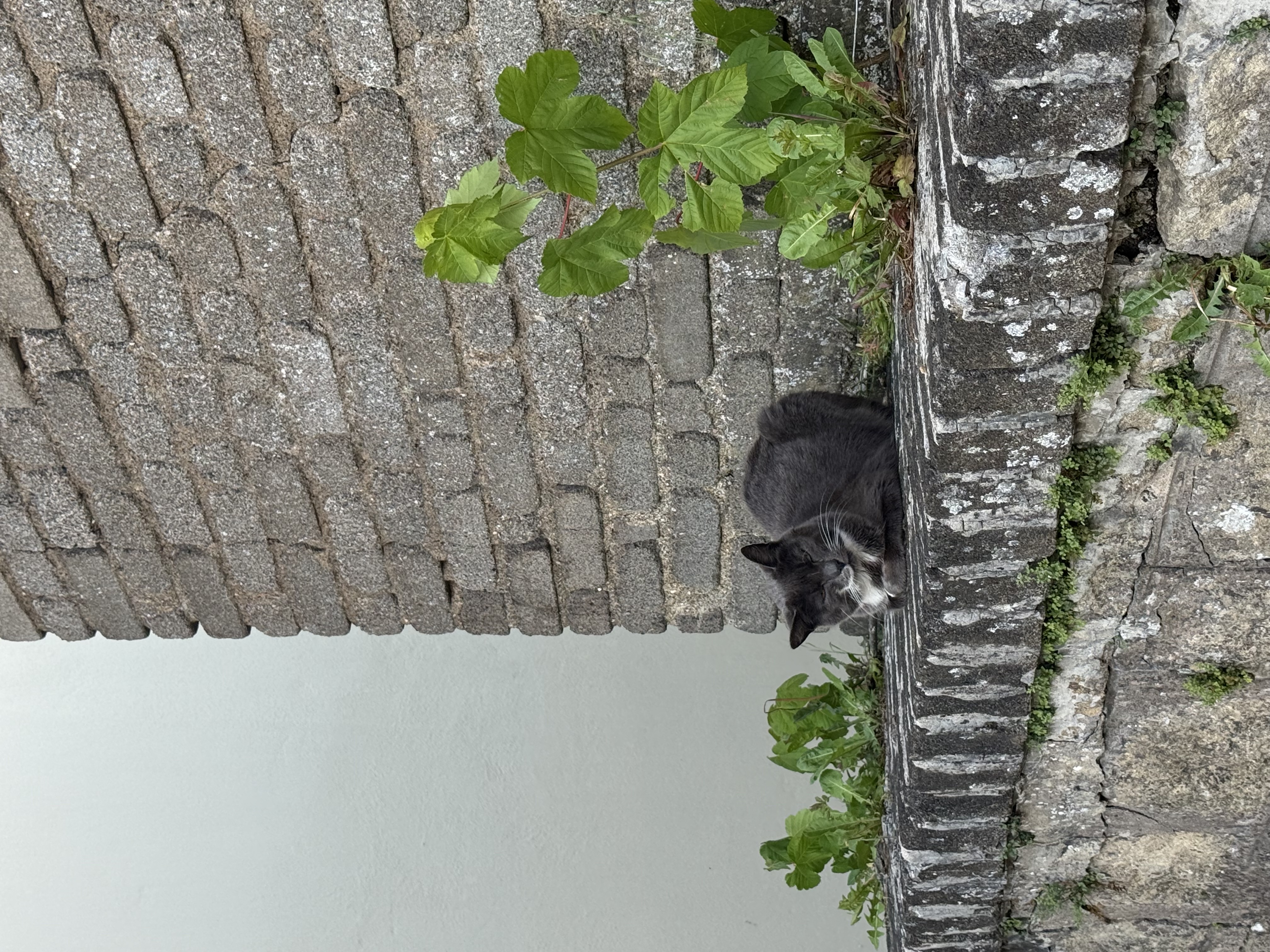 image-17