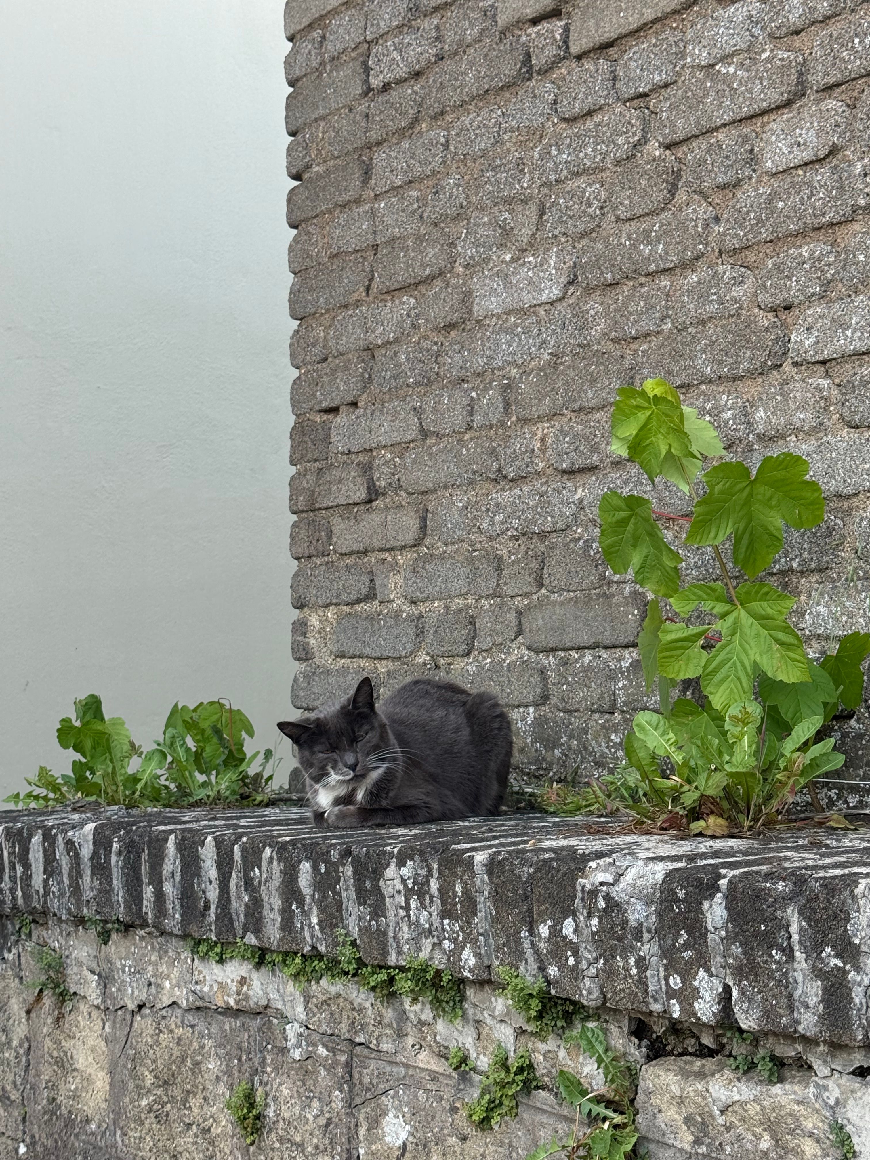 image-17