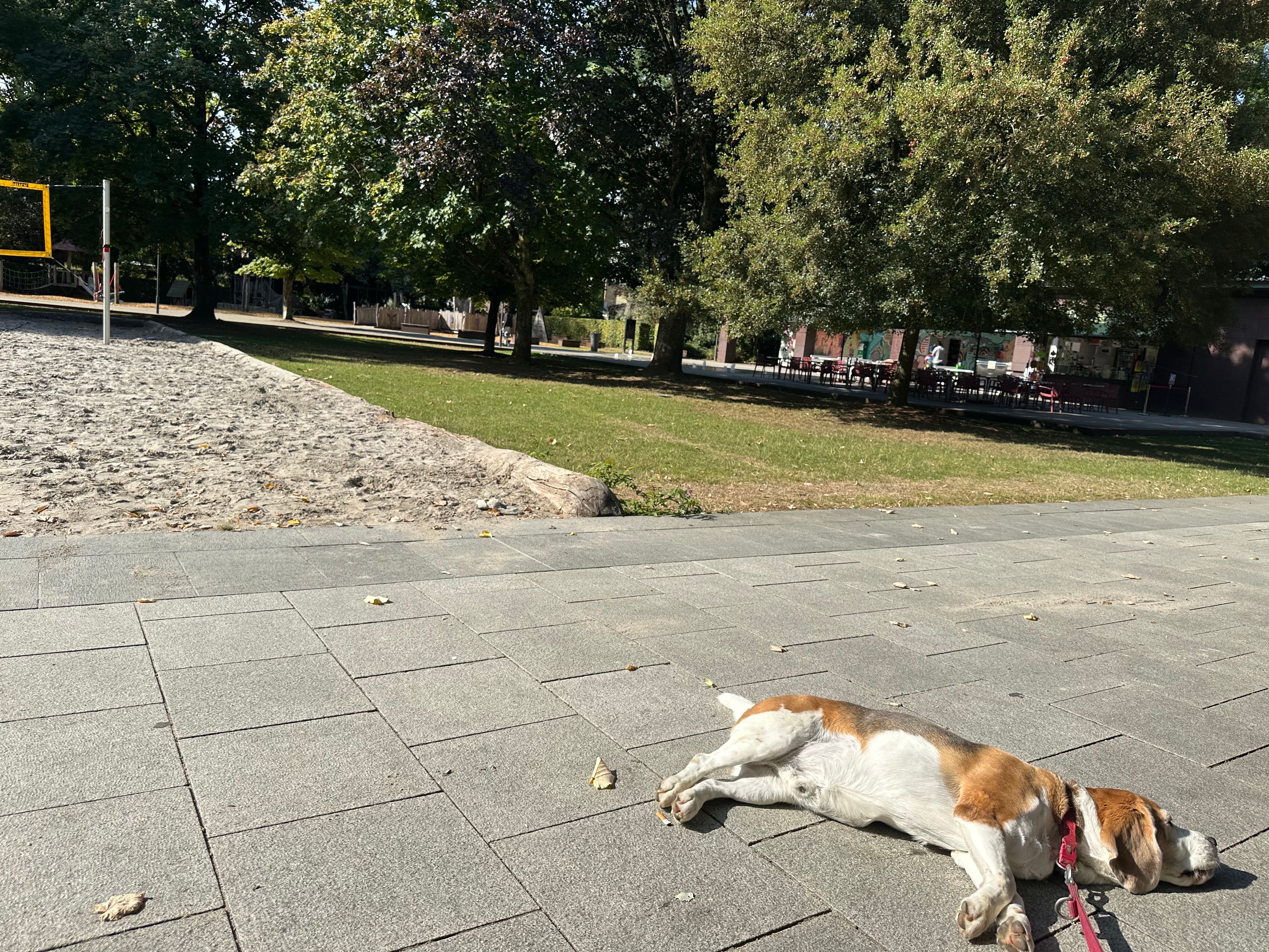 image-16