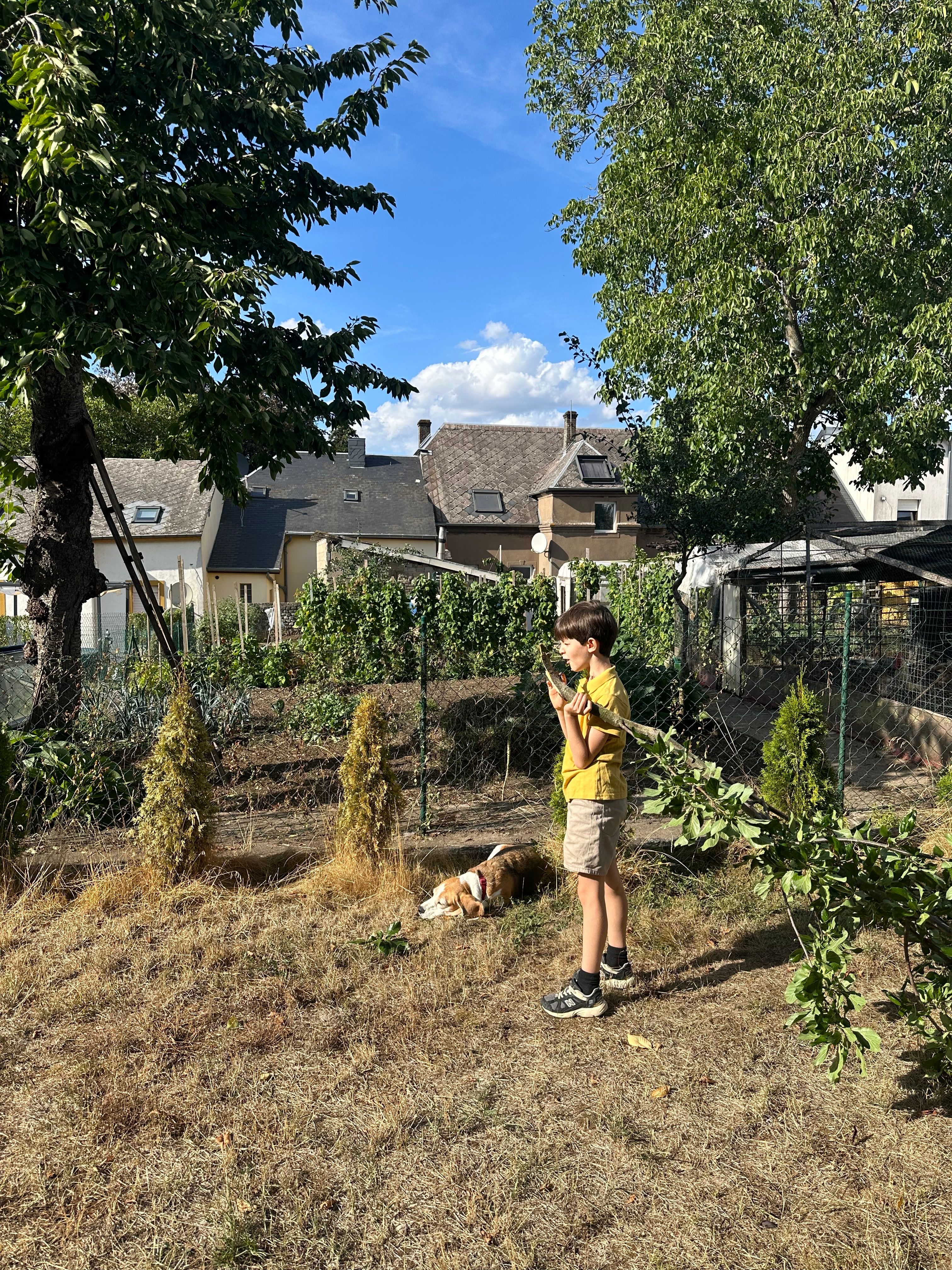 image-13