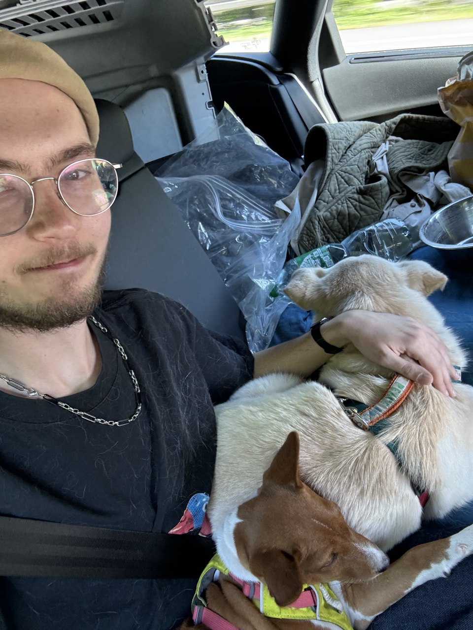 image-7