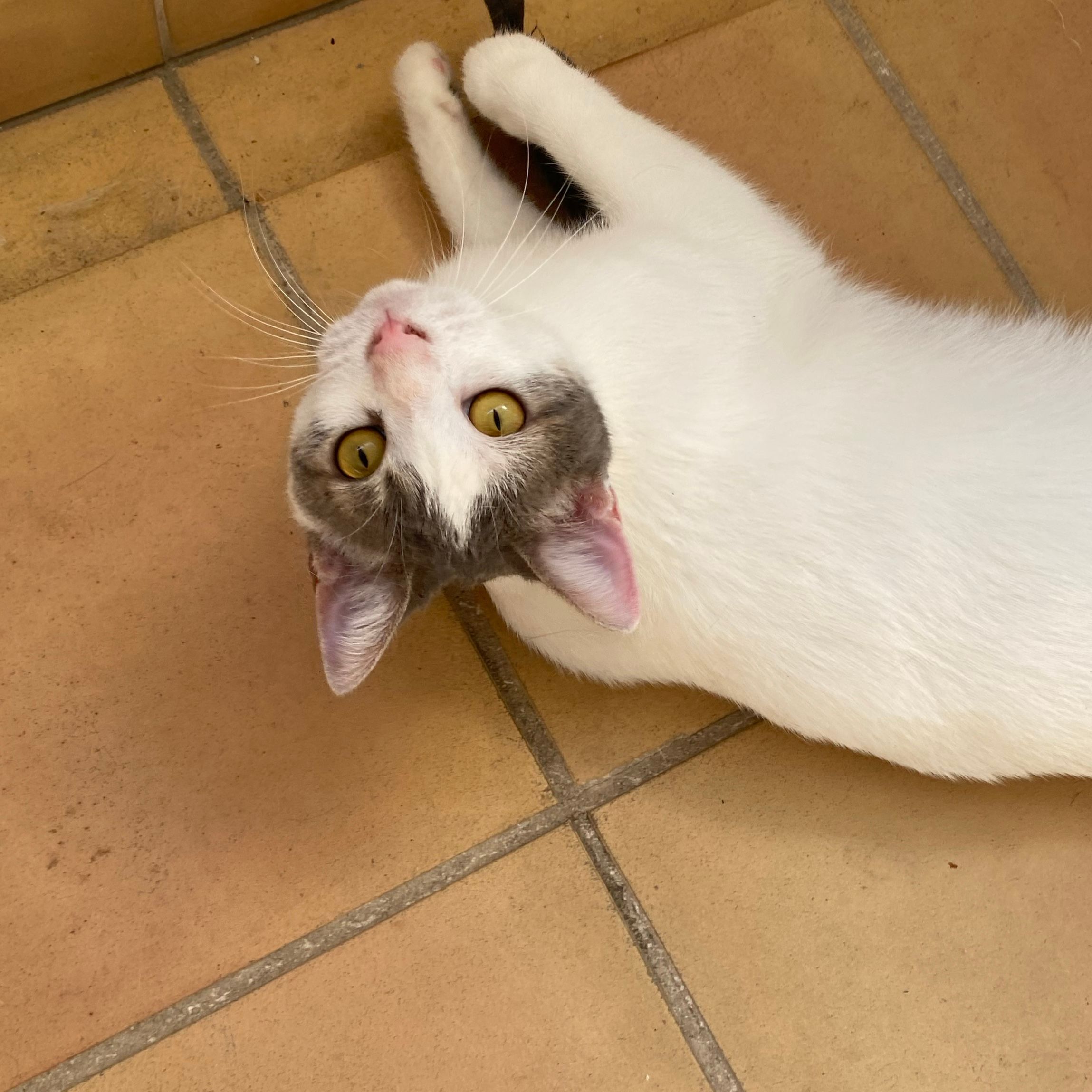 Luna
