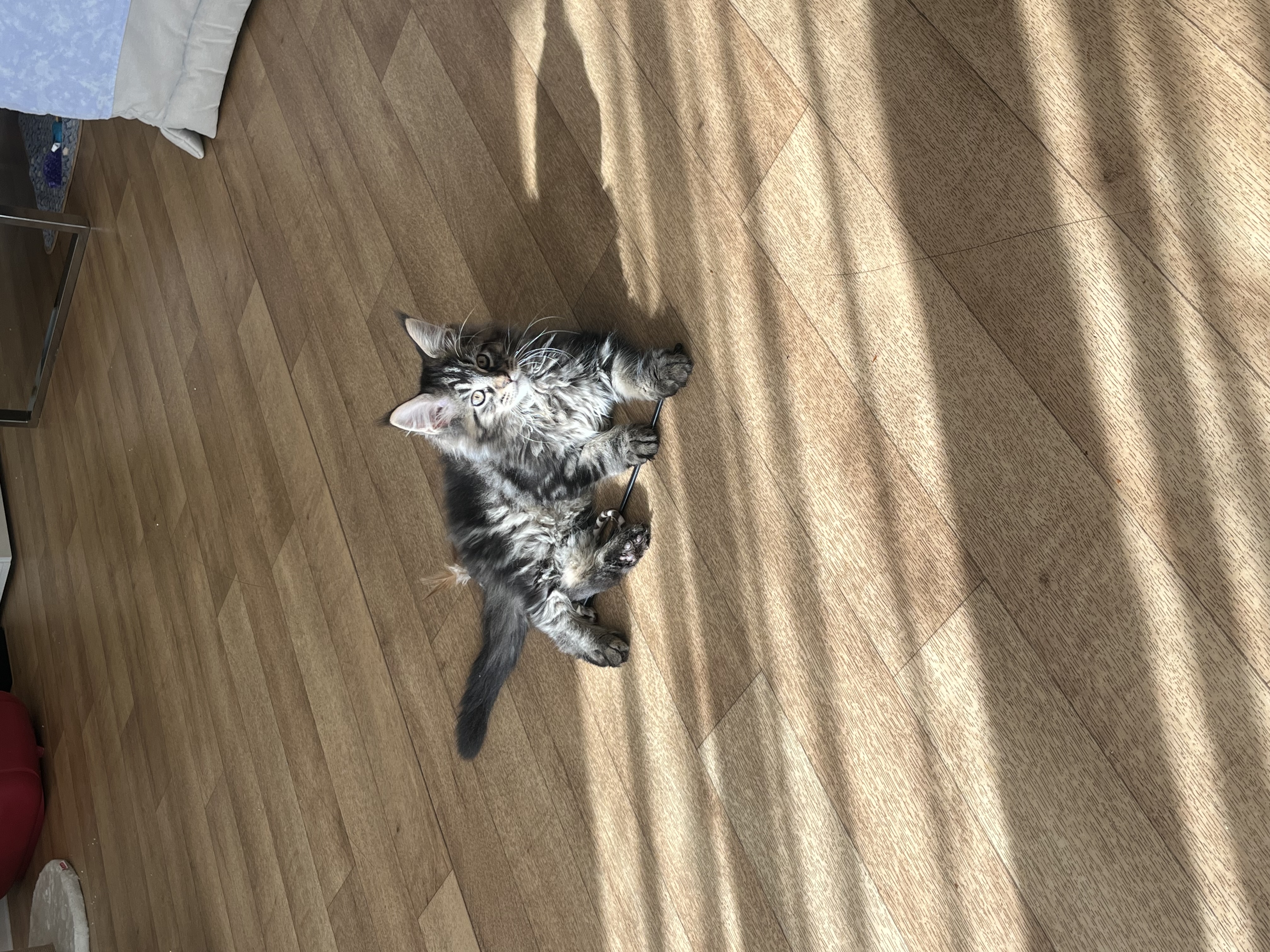 image-7