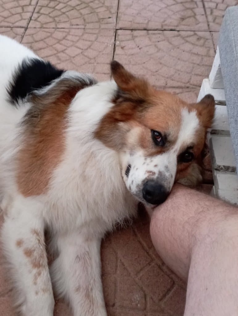 image-6
