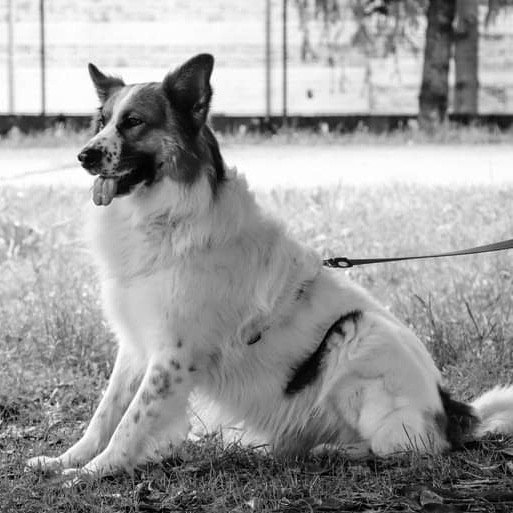Marley