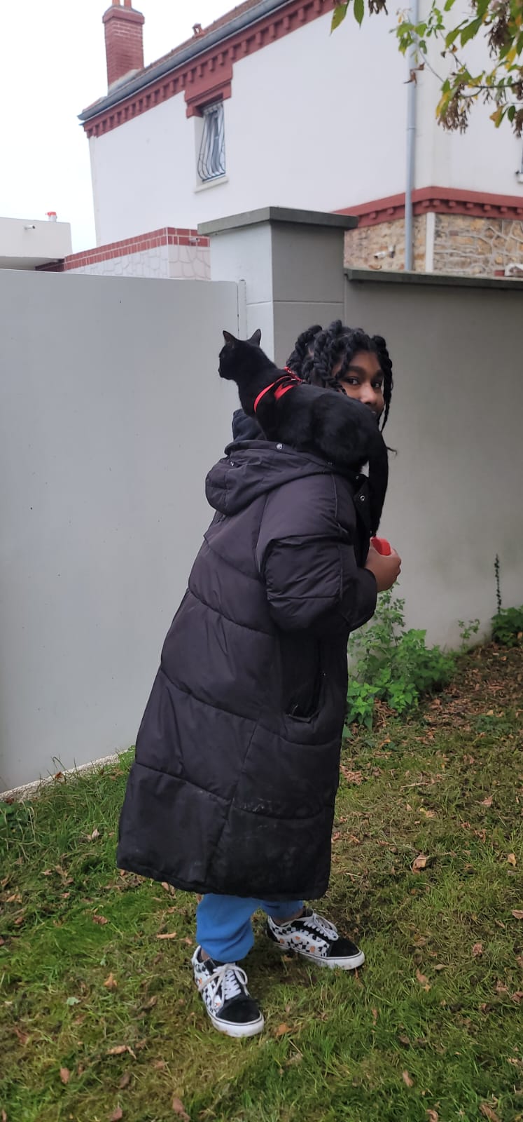 image-11