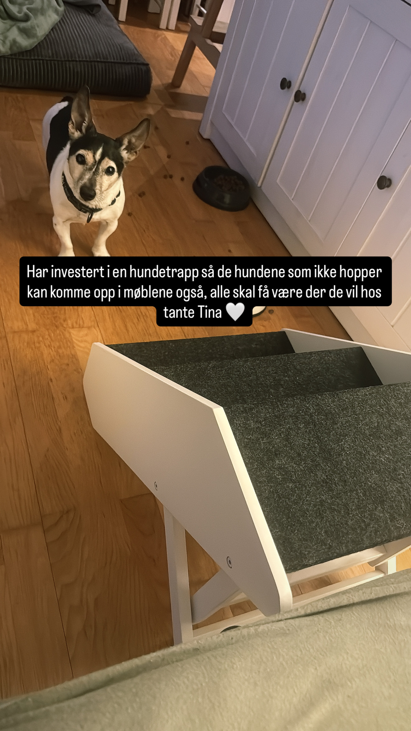 image-26