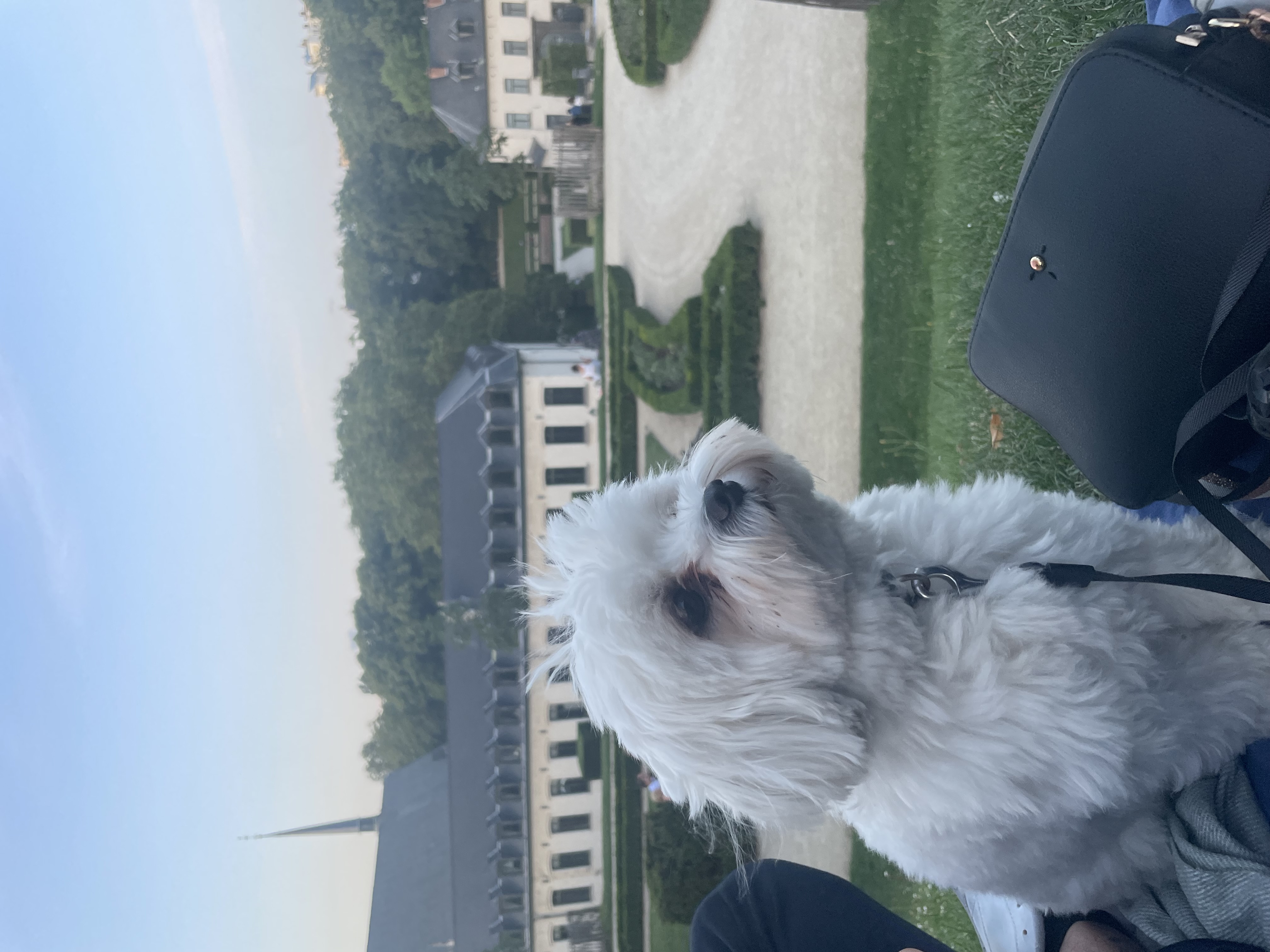 image-7