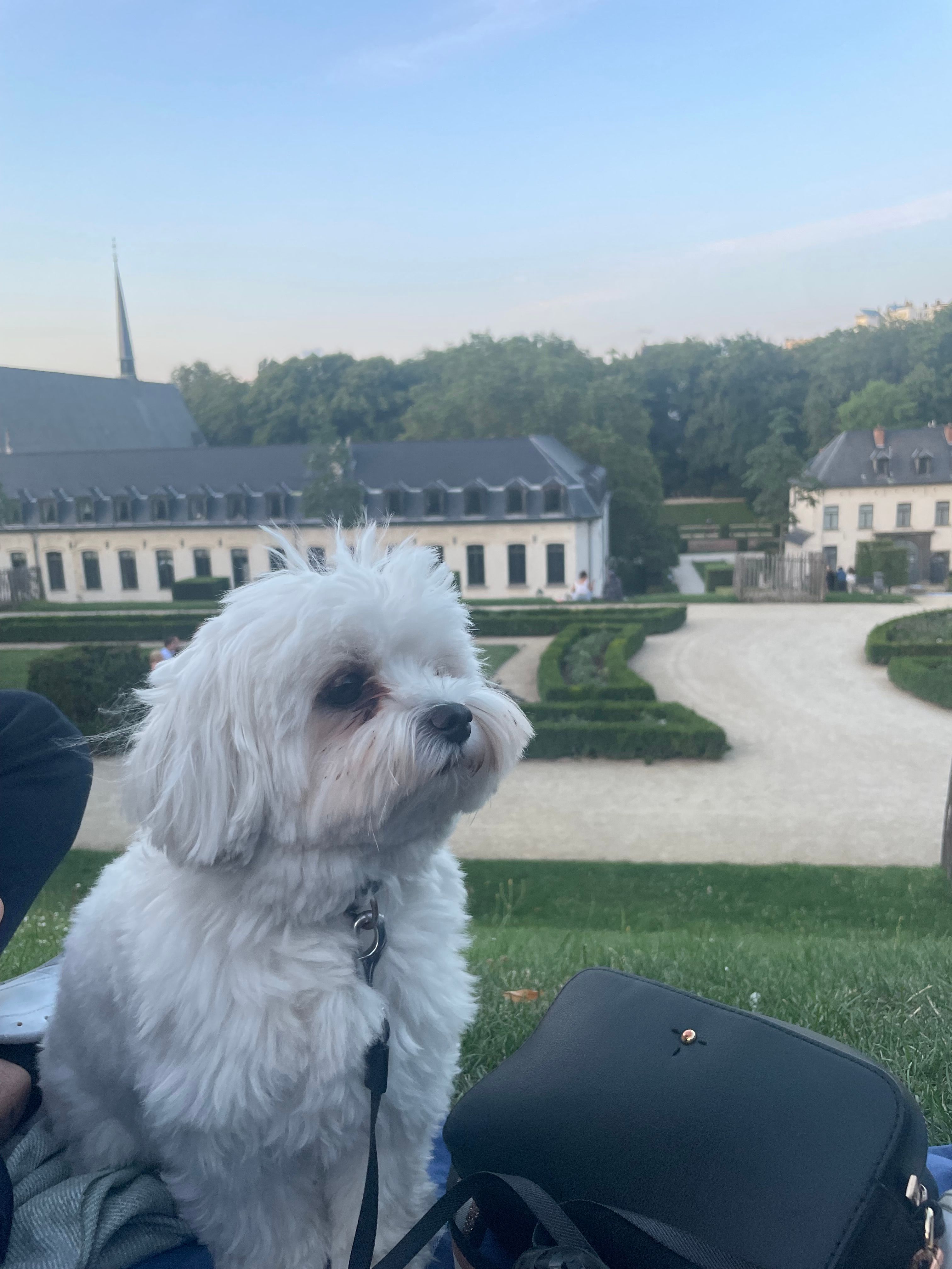 image-7