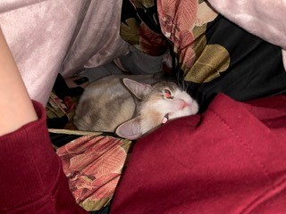 image-13