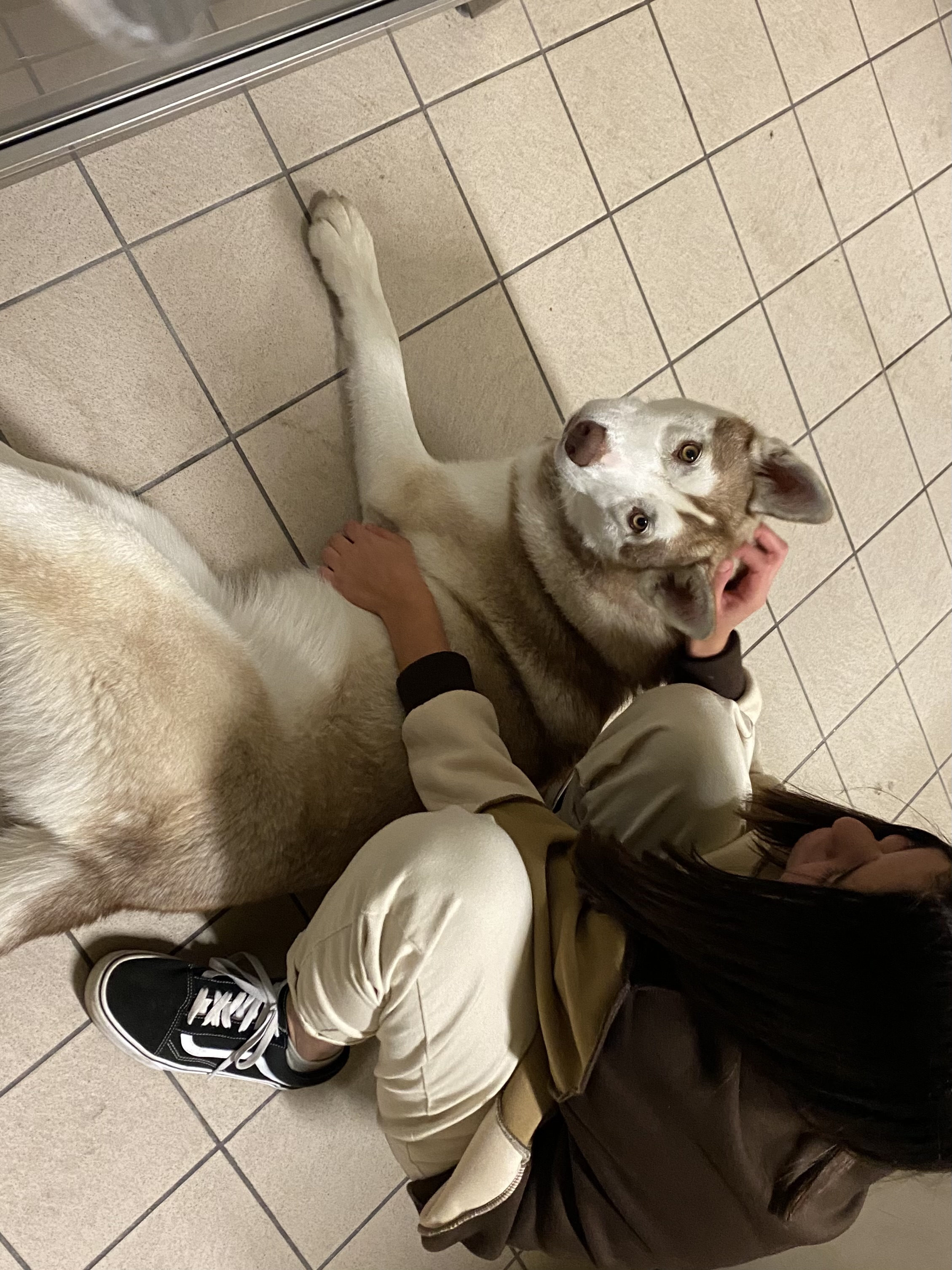 image-9