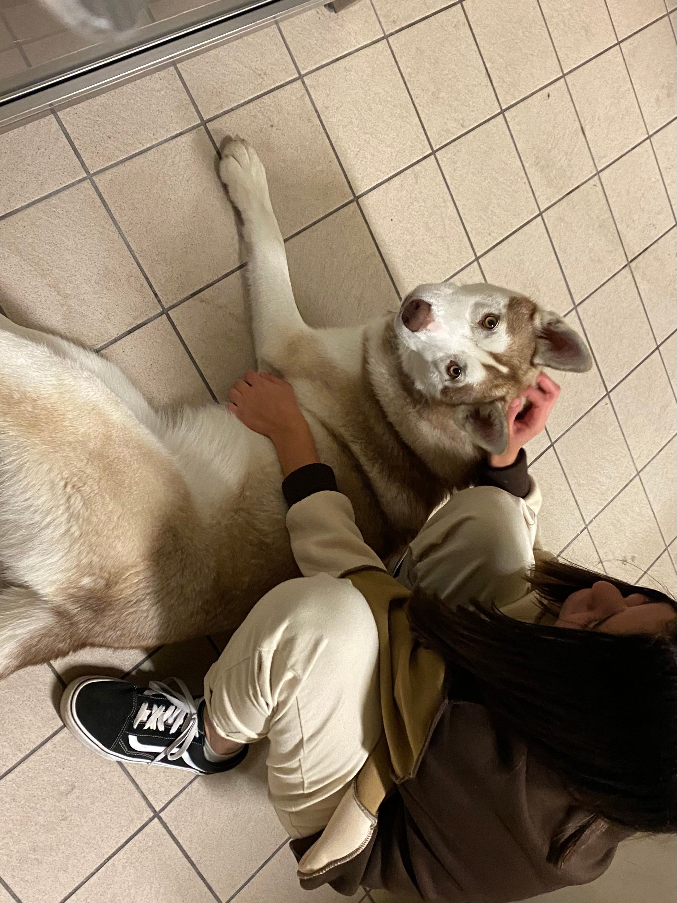 image-9