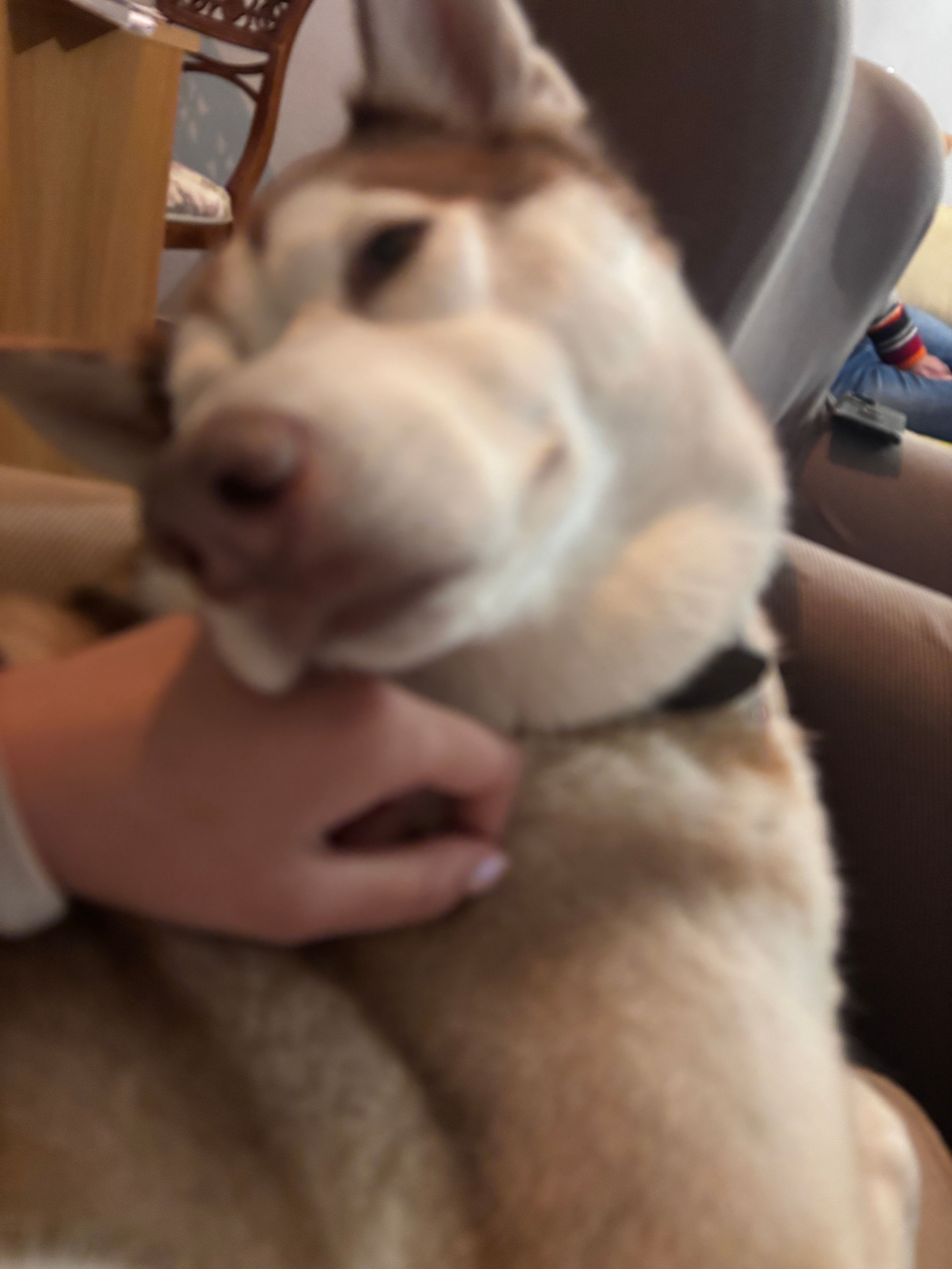 image-4