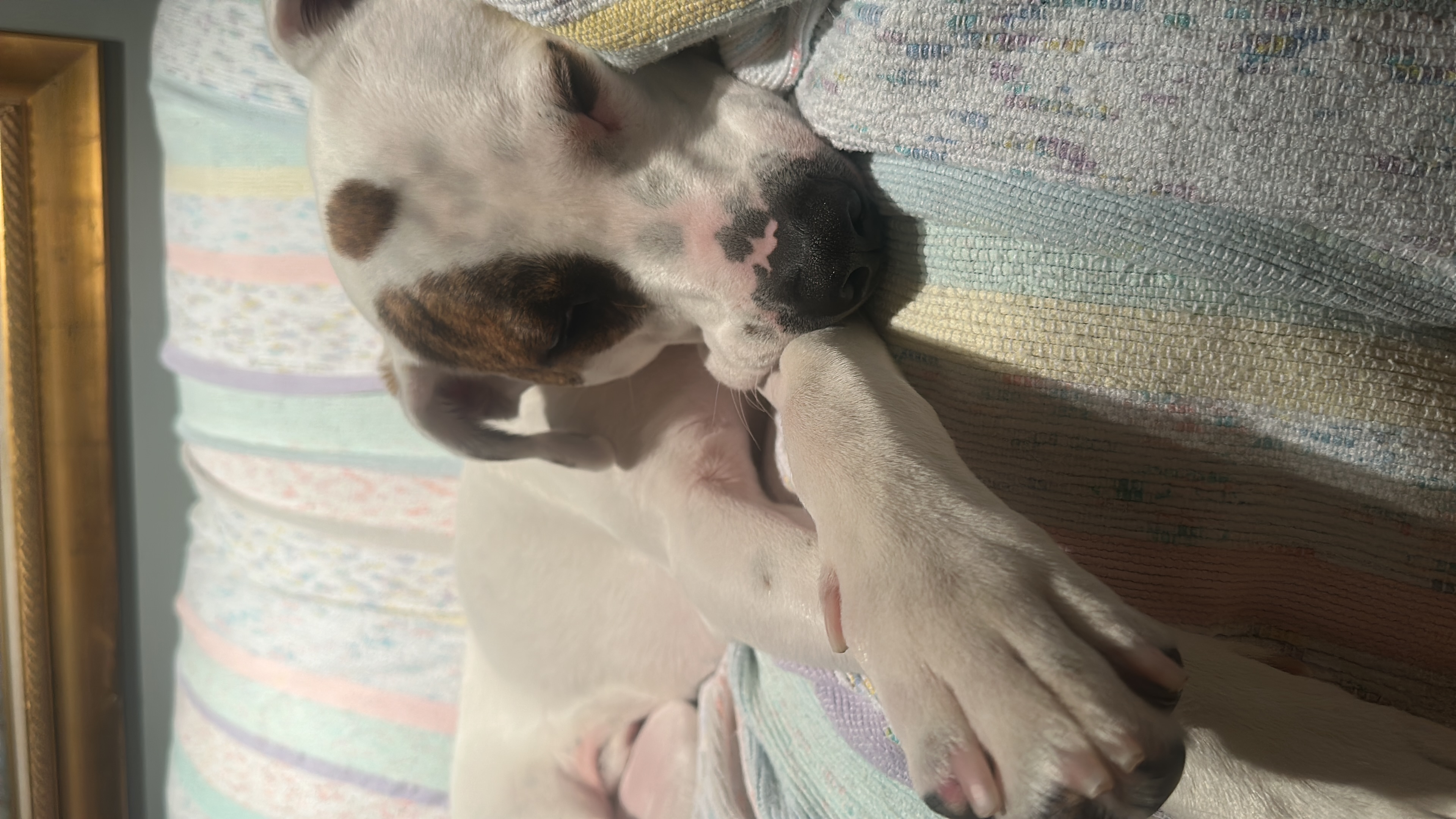 image-7