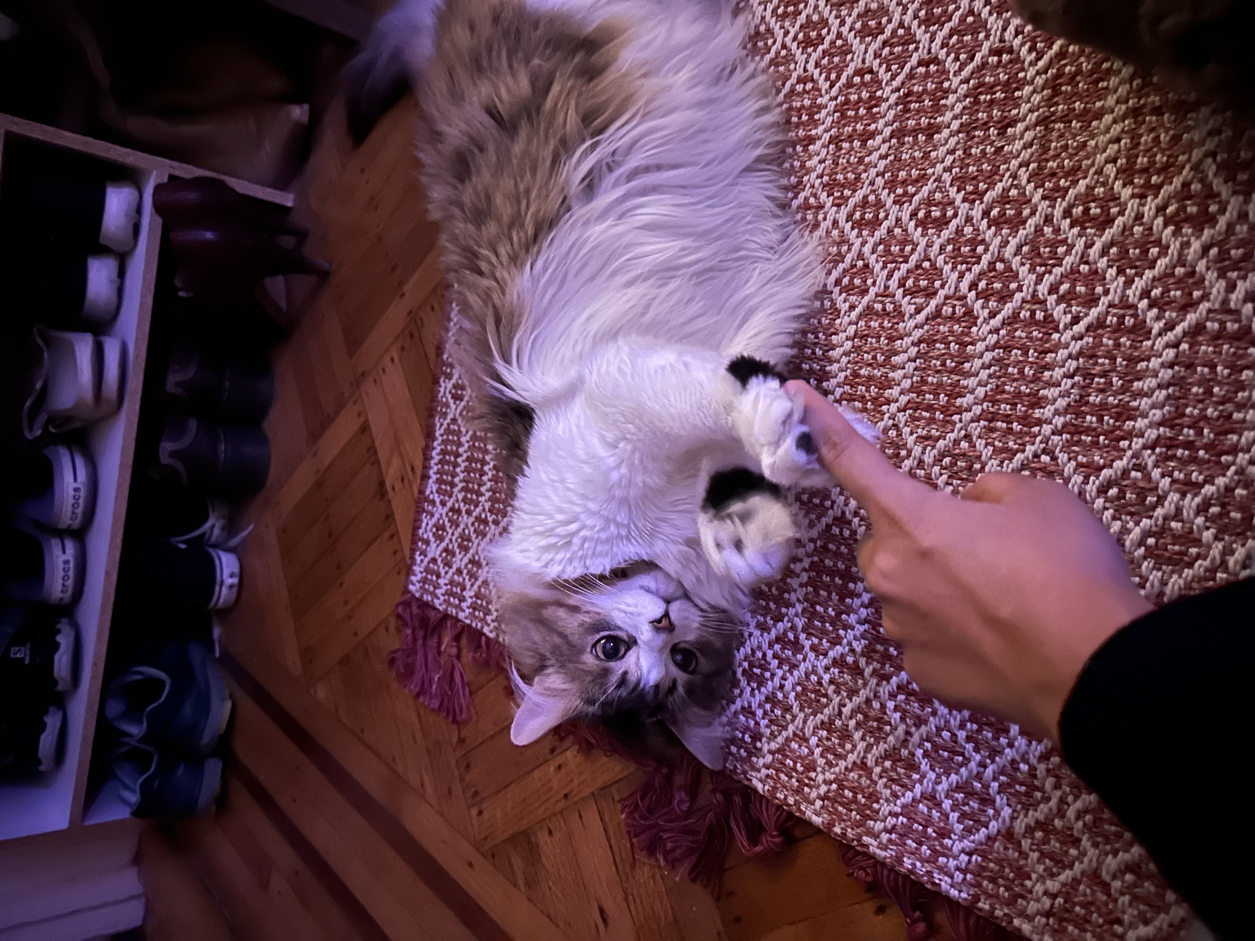 image-9