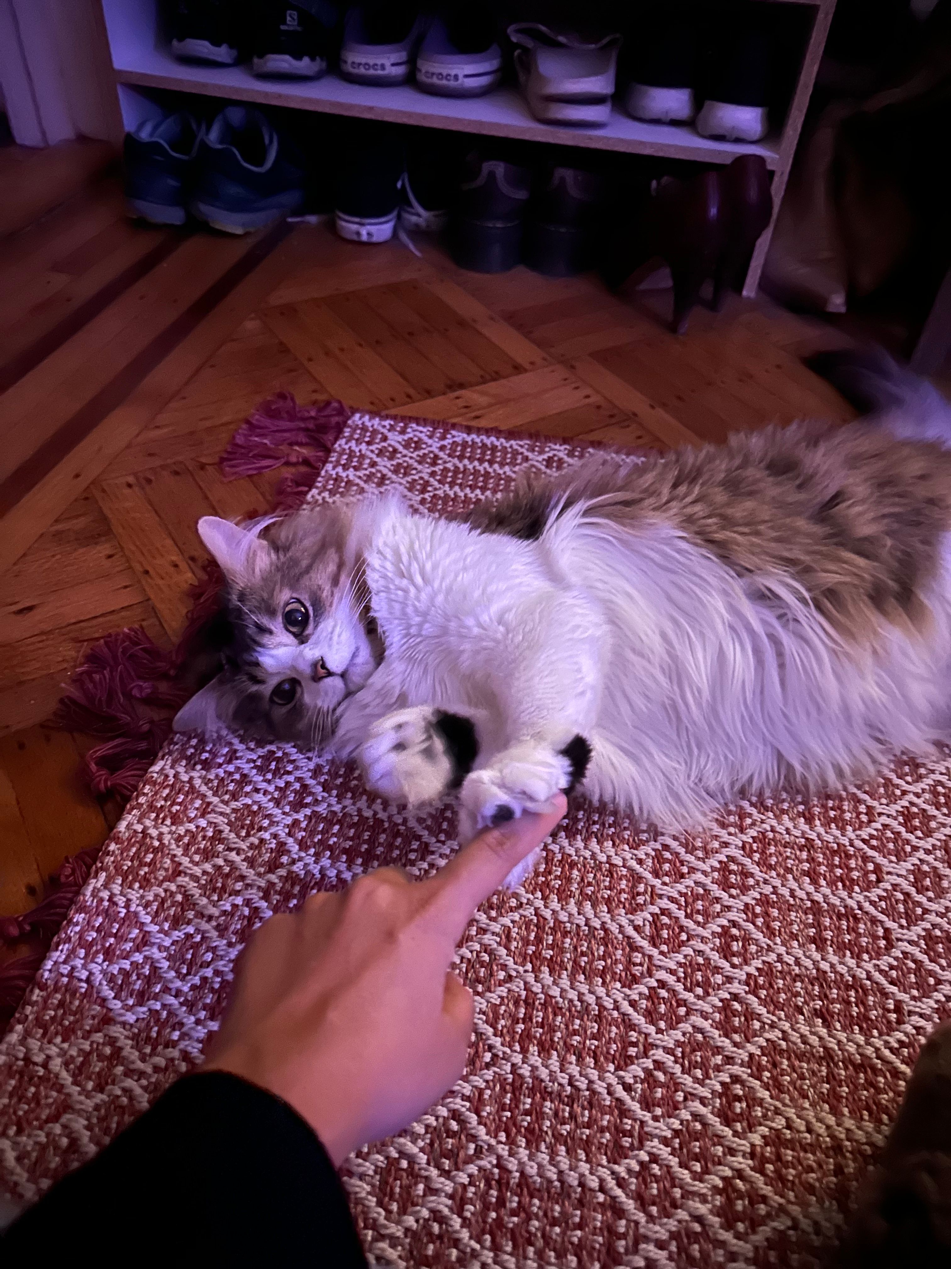 image-9