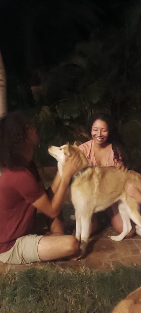 image-2