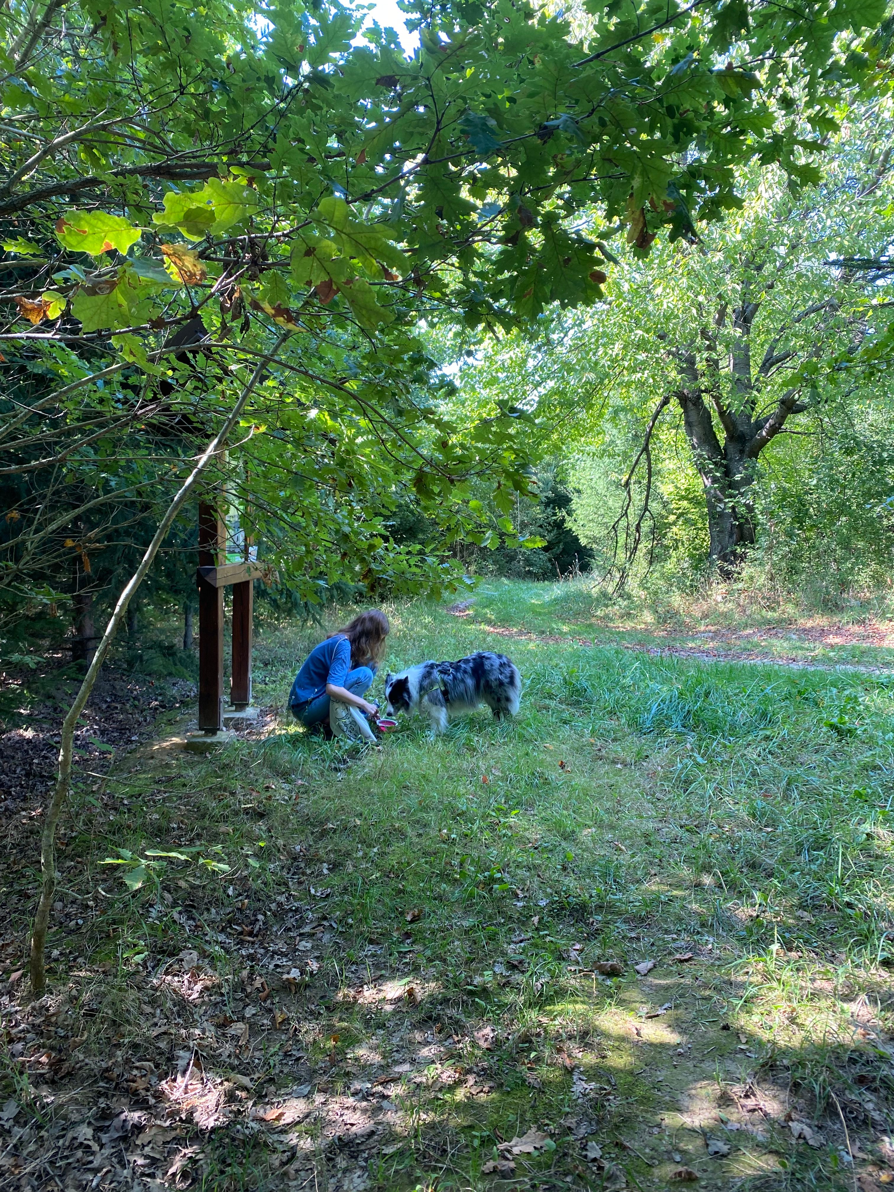 image-2