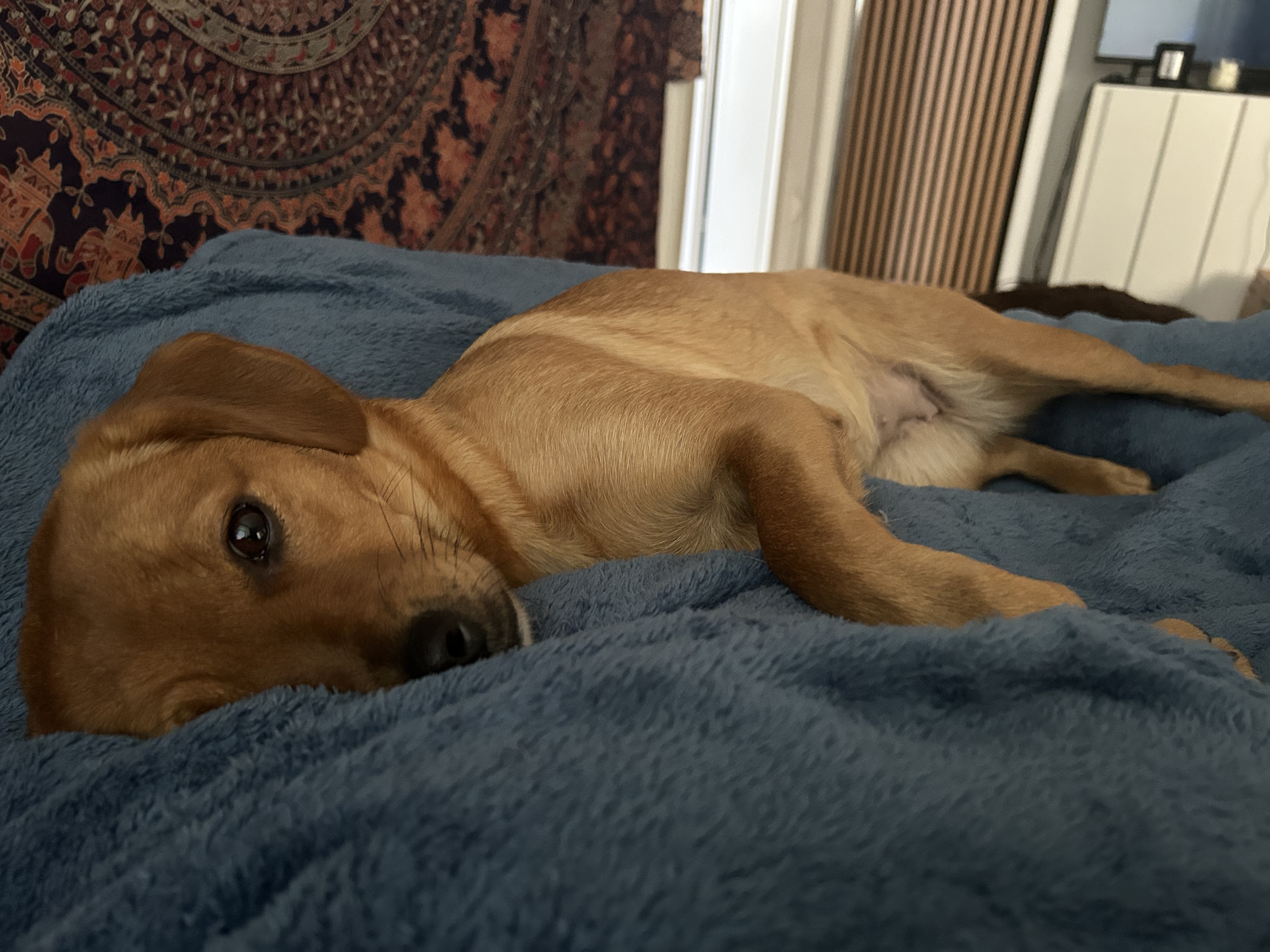 image-7