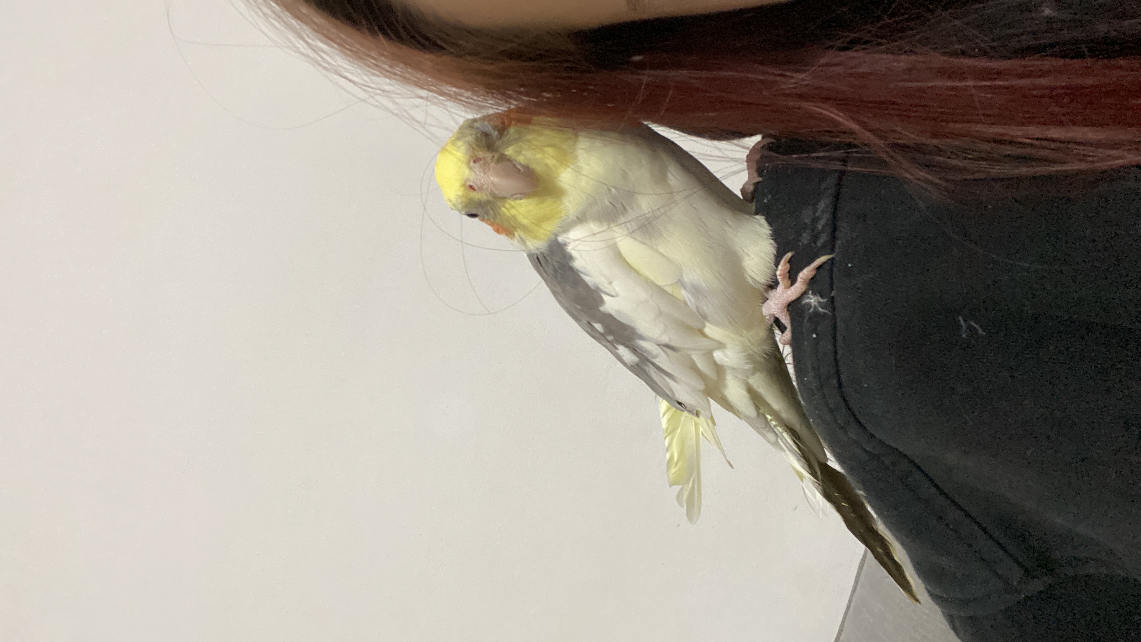 image-6