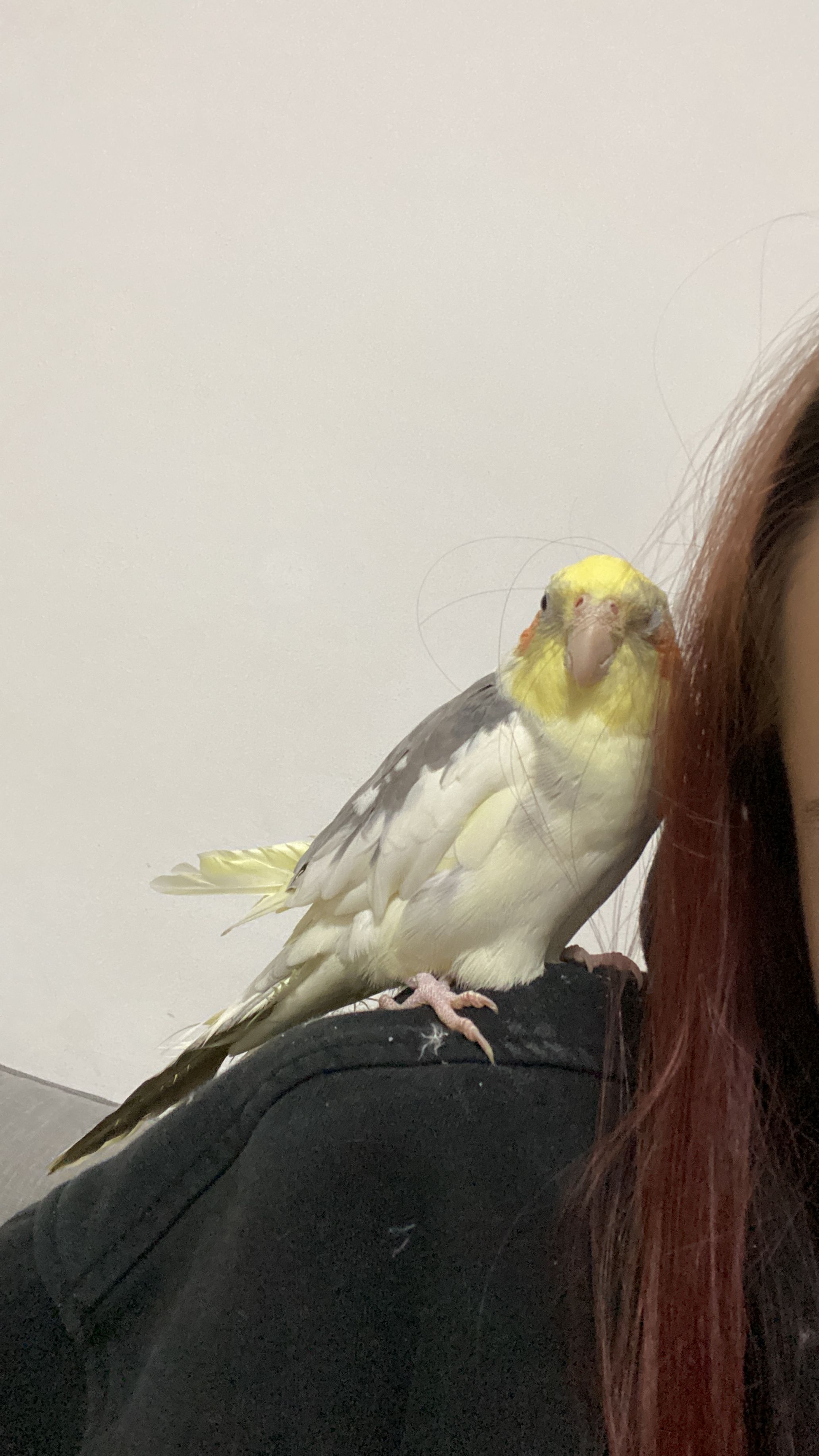image-6