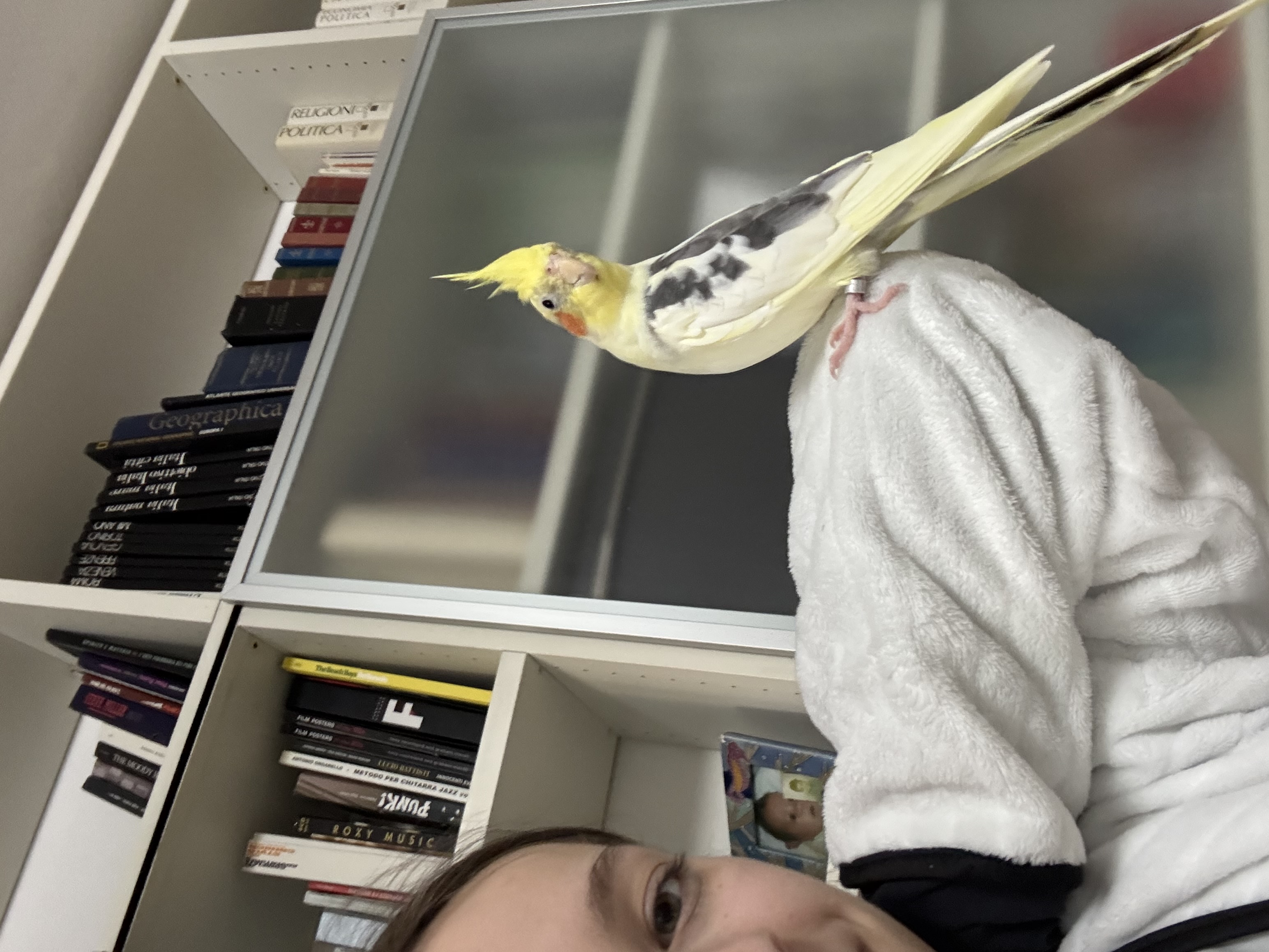 image-5