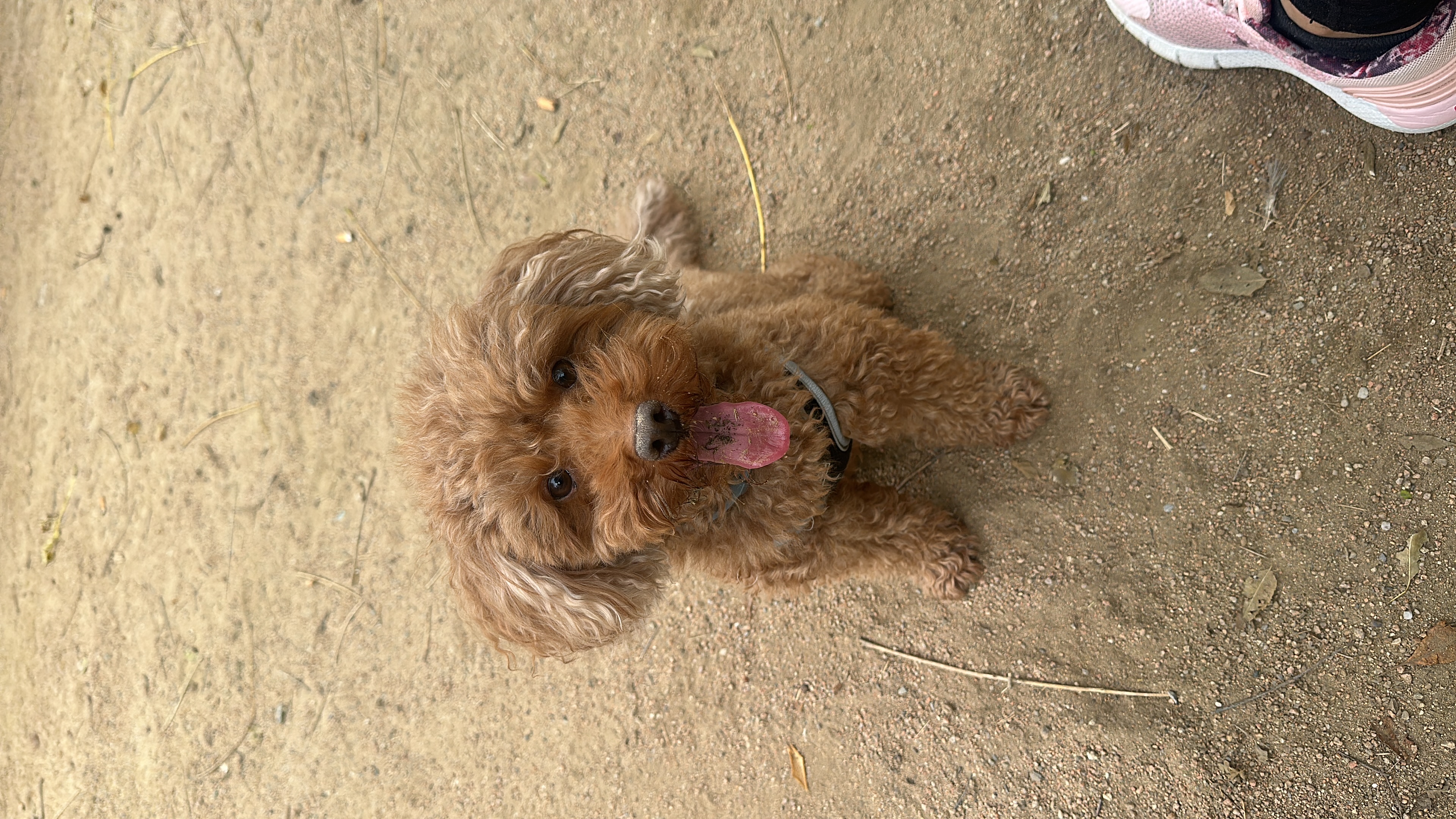 image-7